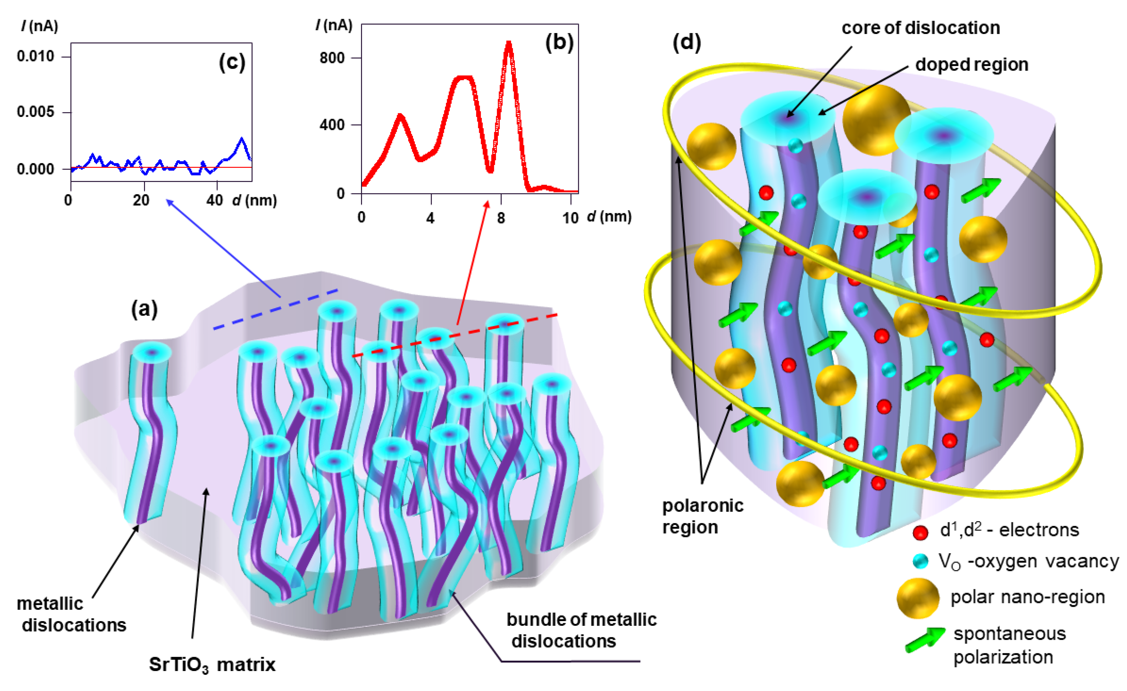Nanomaterials 14 01944 g013