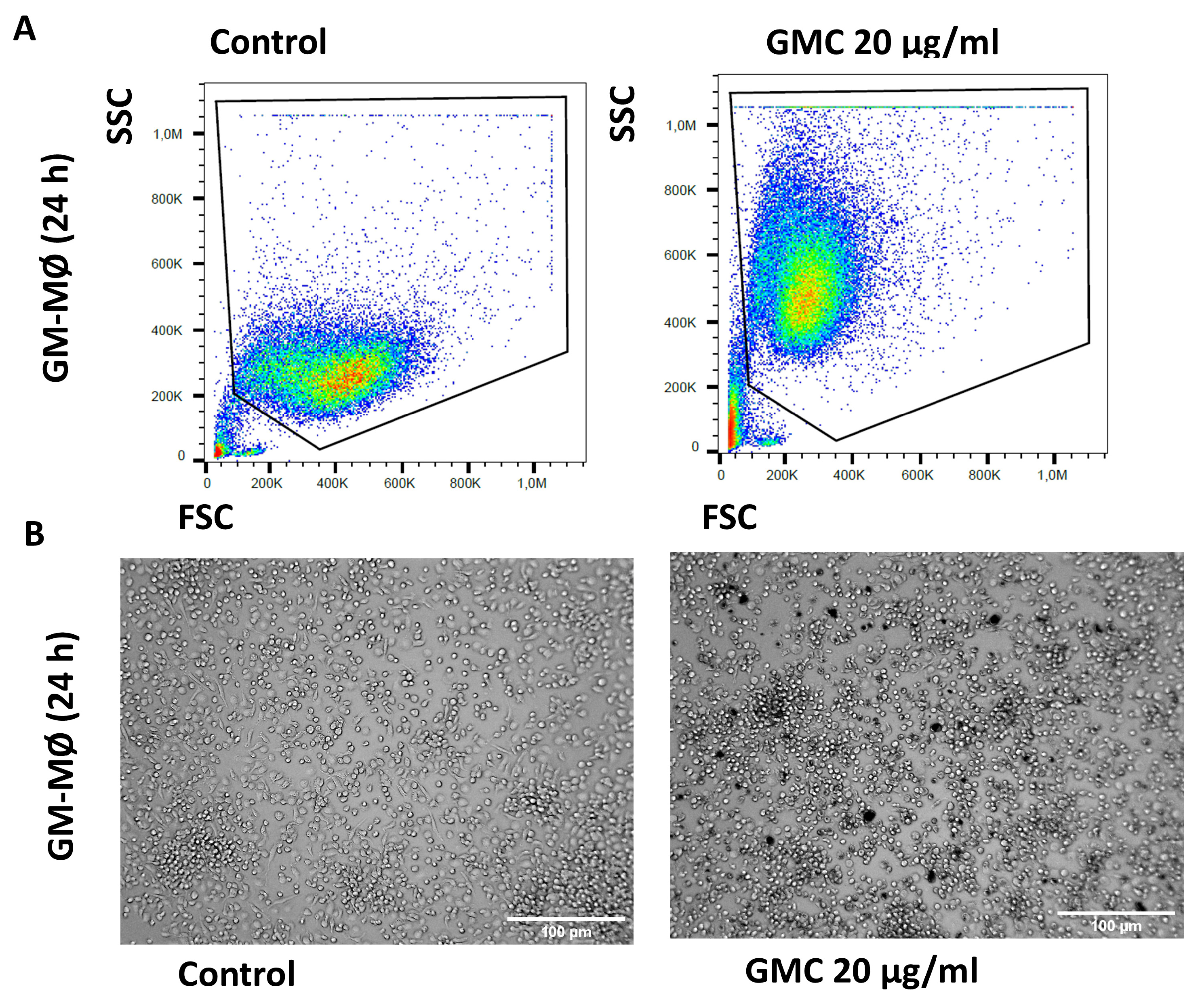 Nanomaterials 14 01945 g005