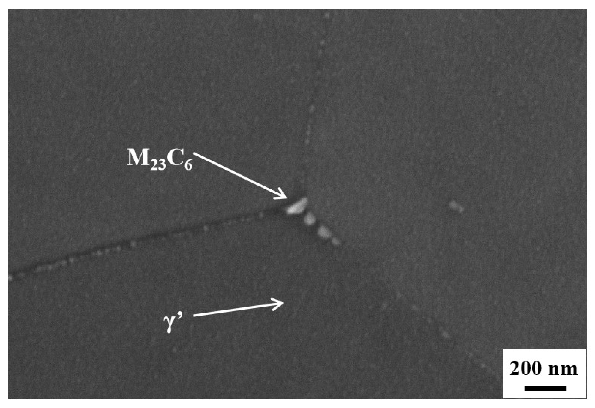 Nanomaterials 14 01949 g007