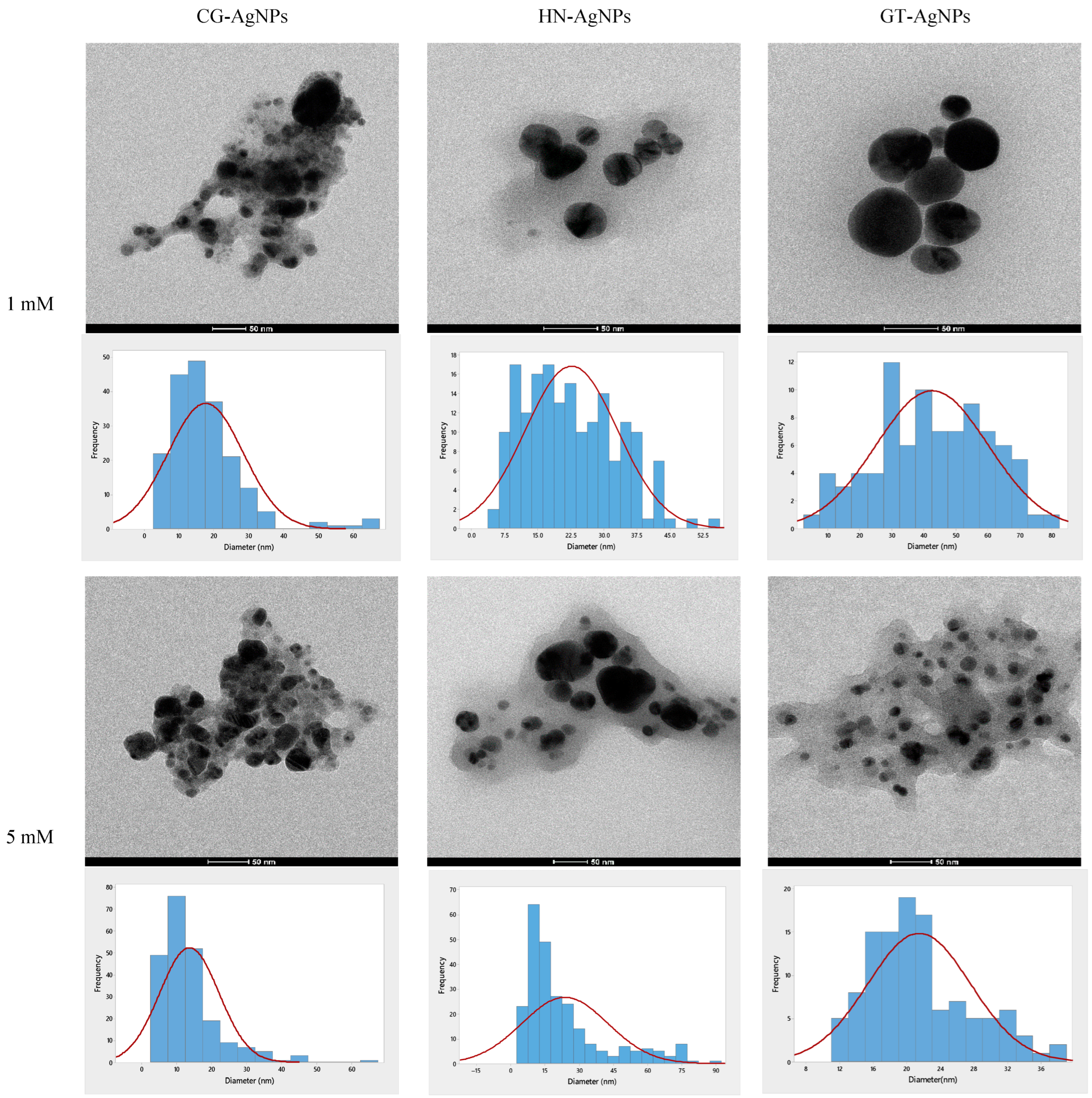 Nanomaterials 14 01954 g005