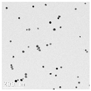 Nanomaterials 14 01955 i001