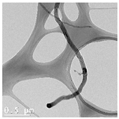 Nanomaterials 14 01955 i002