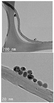 Nanomaterials 14 01955 i003