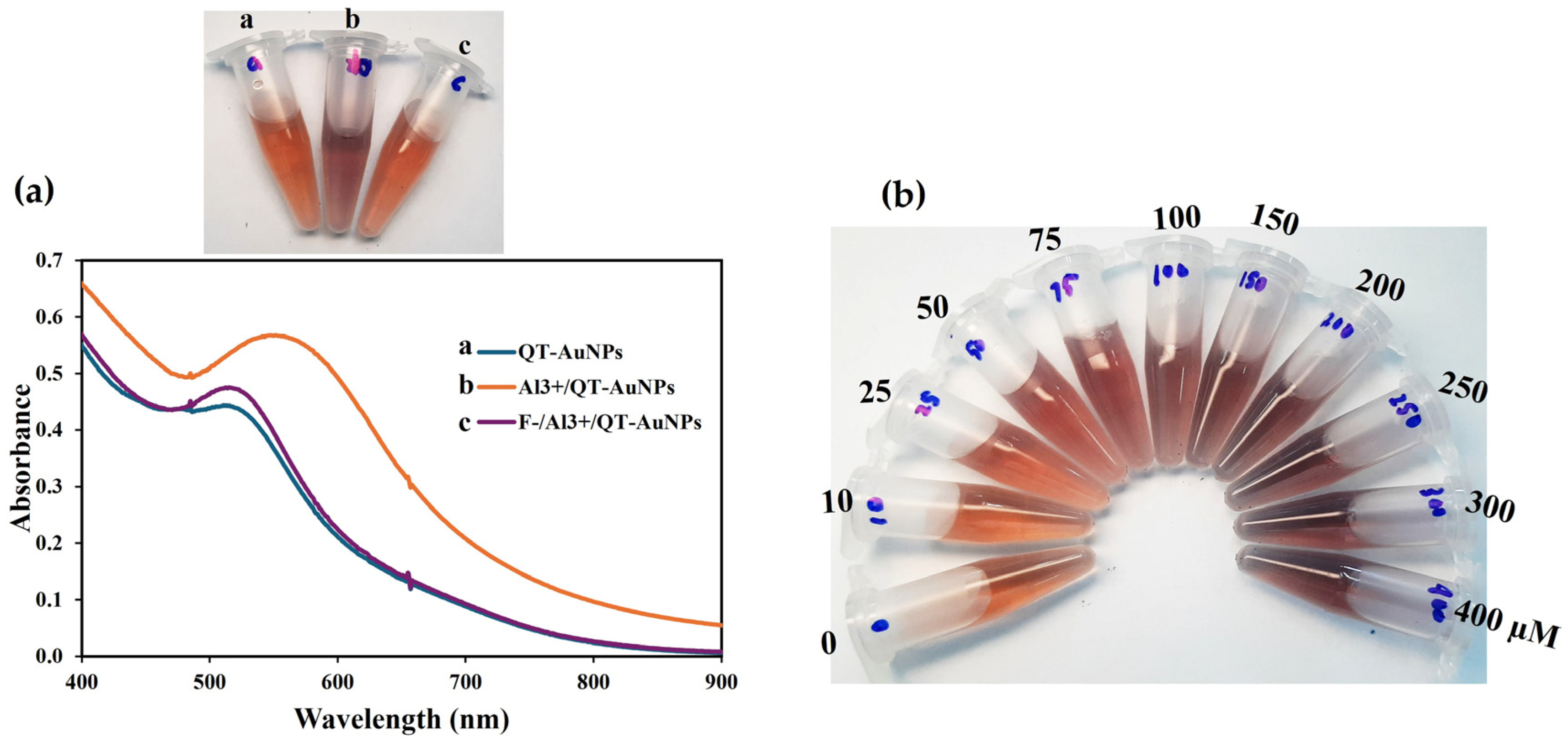 Nanomaterials 14 01967 g002