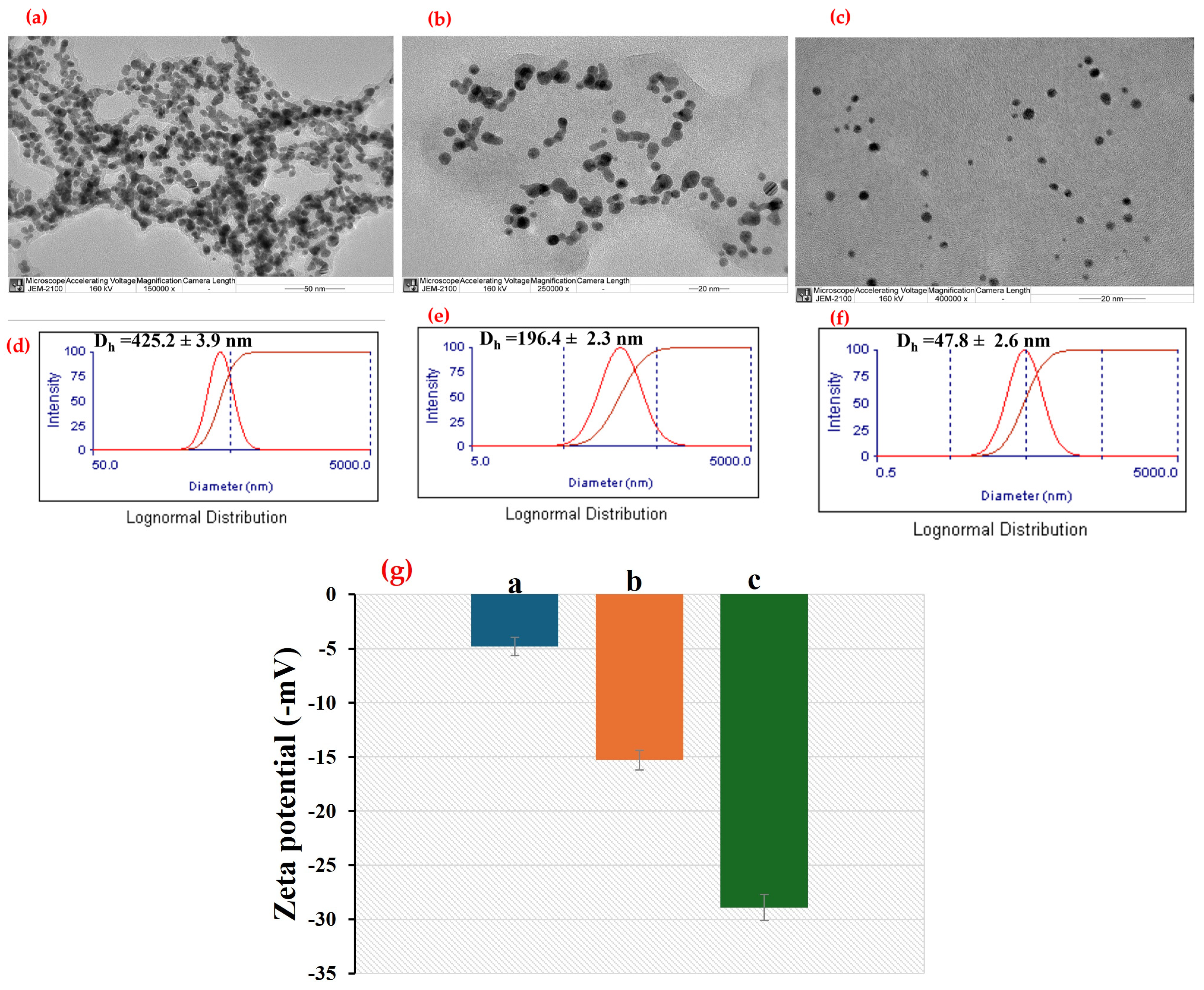 Nanomaterials 14 01967 g004