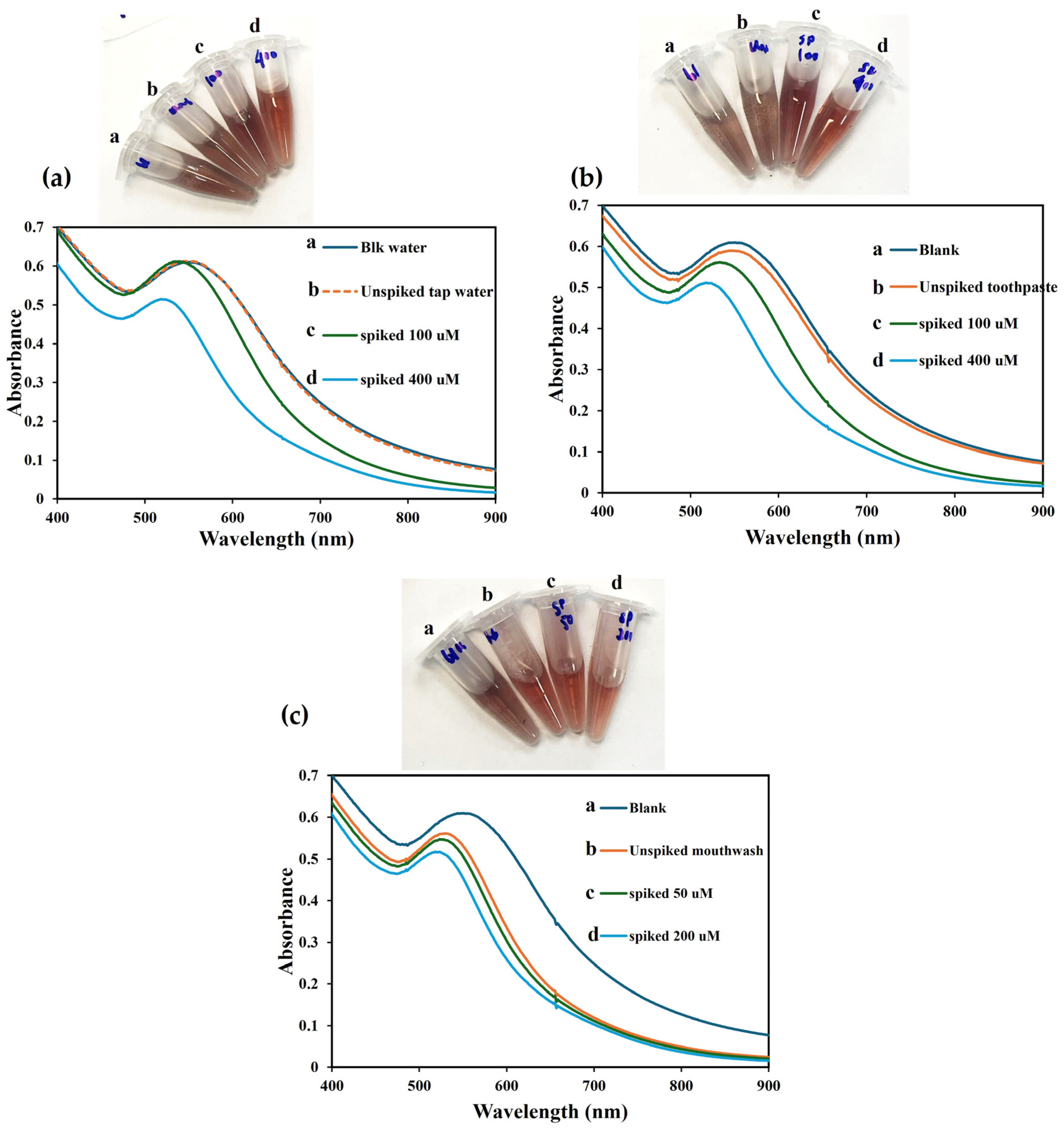 Nanomaterials 14 01967 g006