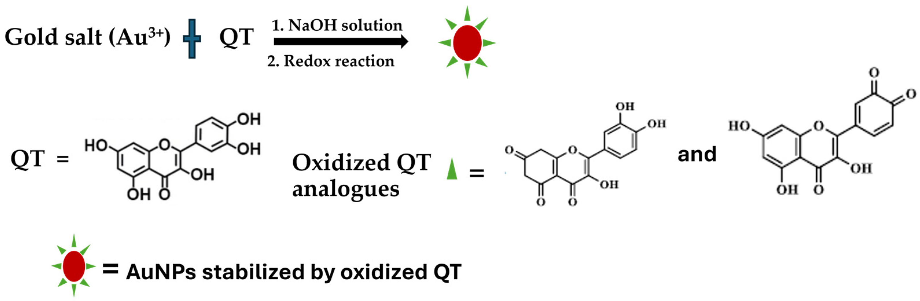 Nanomaterials 14 01967 sch001