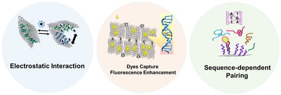 Nanomaterials 14 01968 g001