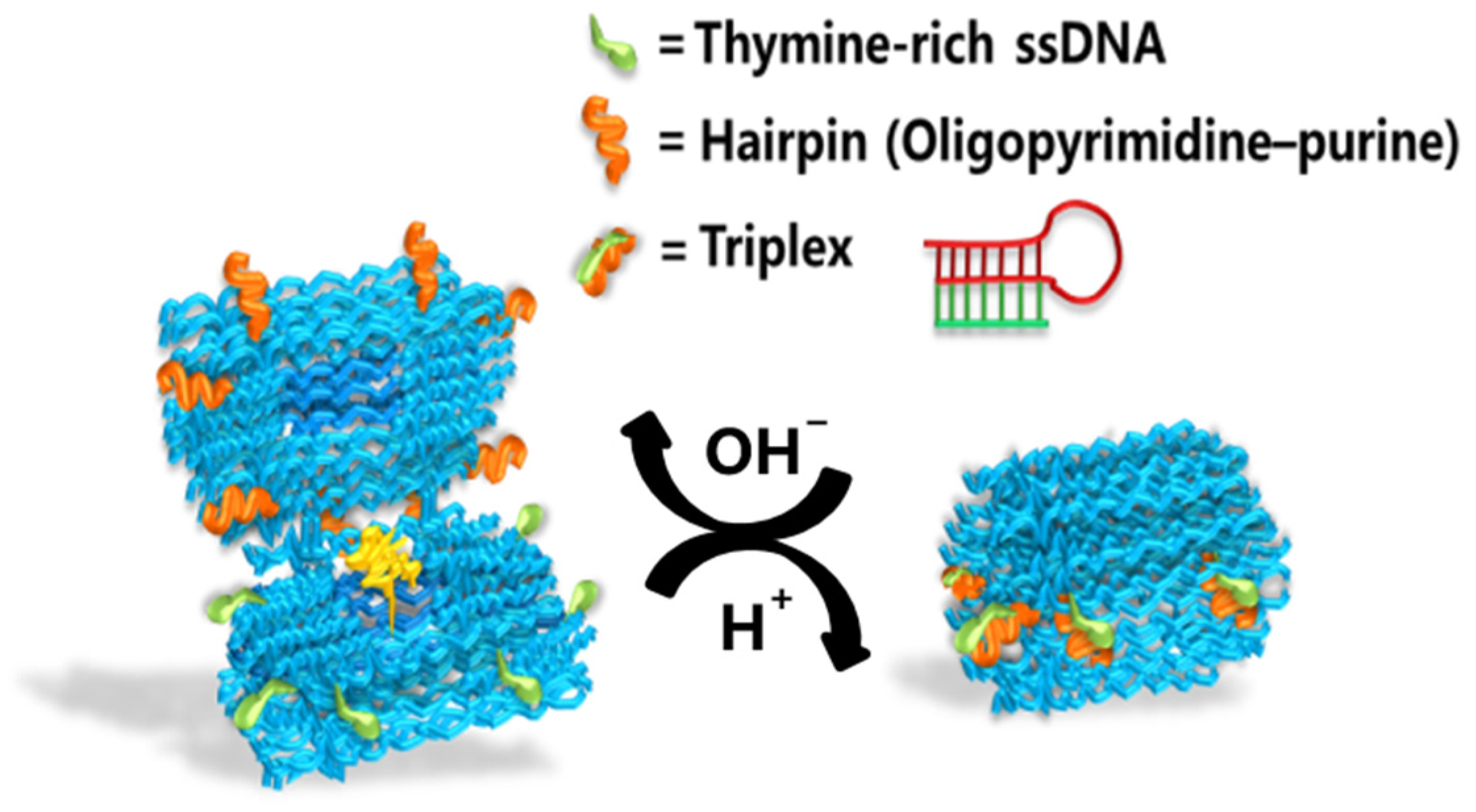 Nanomaterials 14 01968 g007 Nanomaterials 14 01968 g007