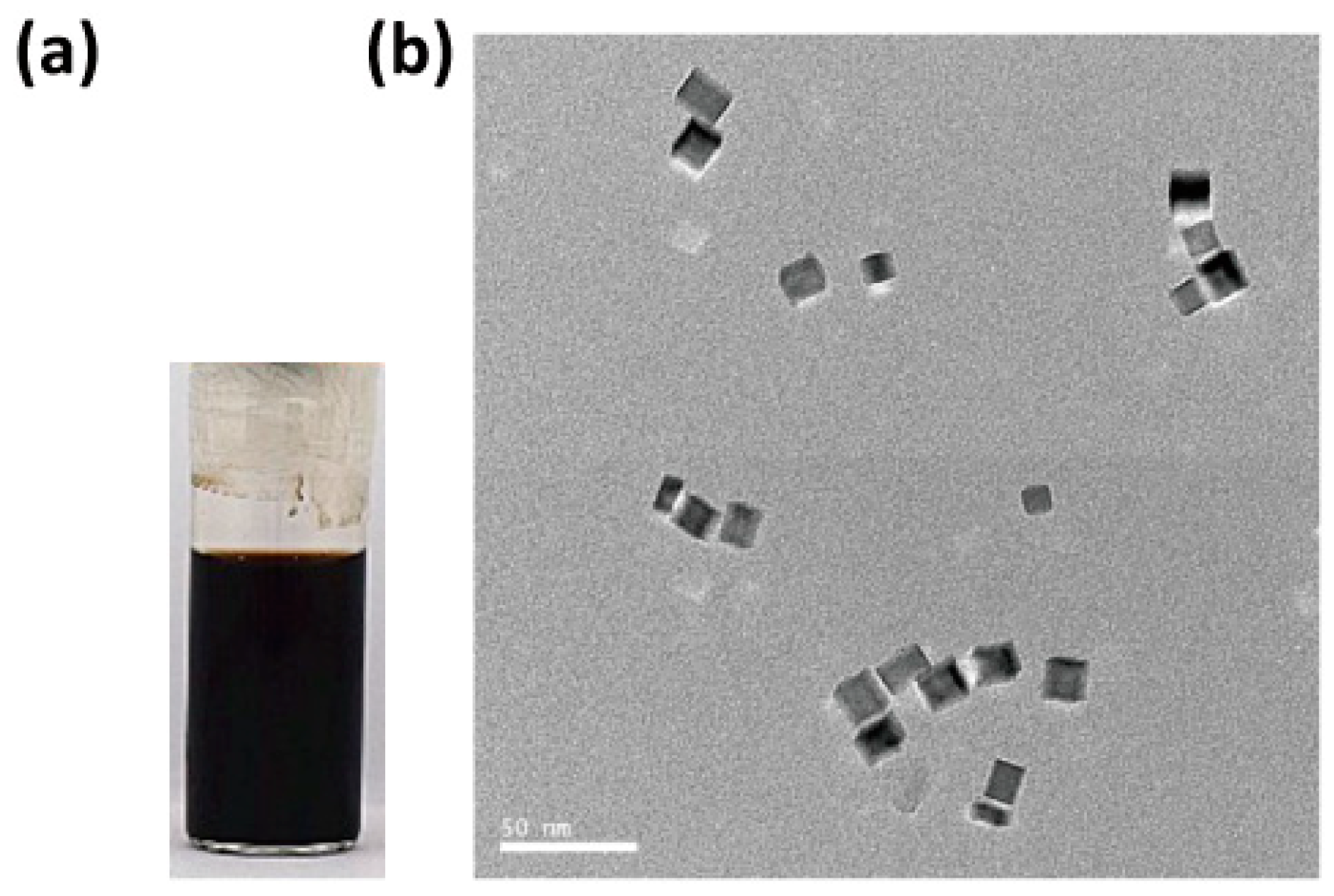 Nanomaterials 14 01971 g001