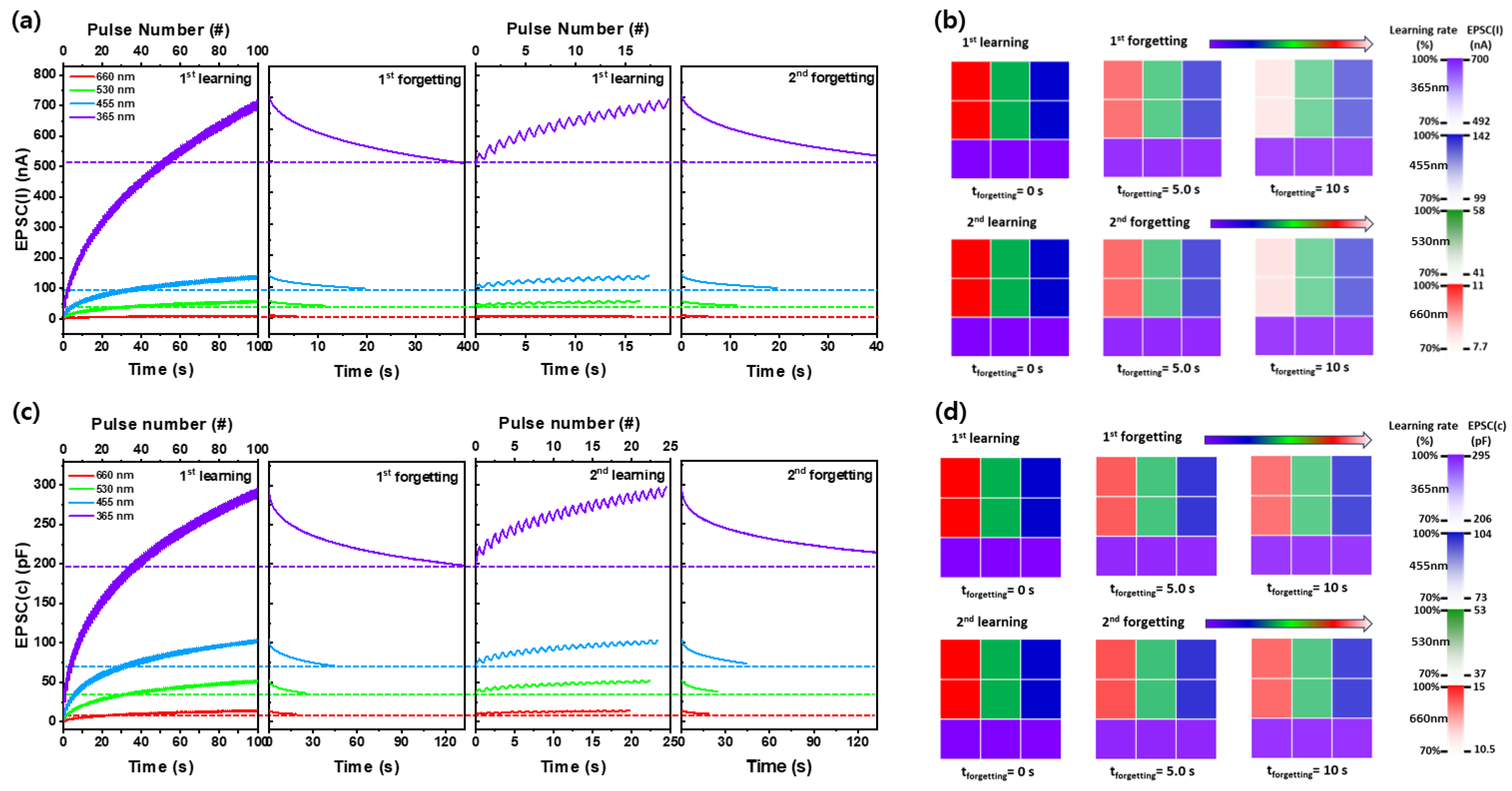 Nanomaterials 14 01972 g006