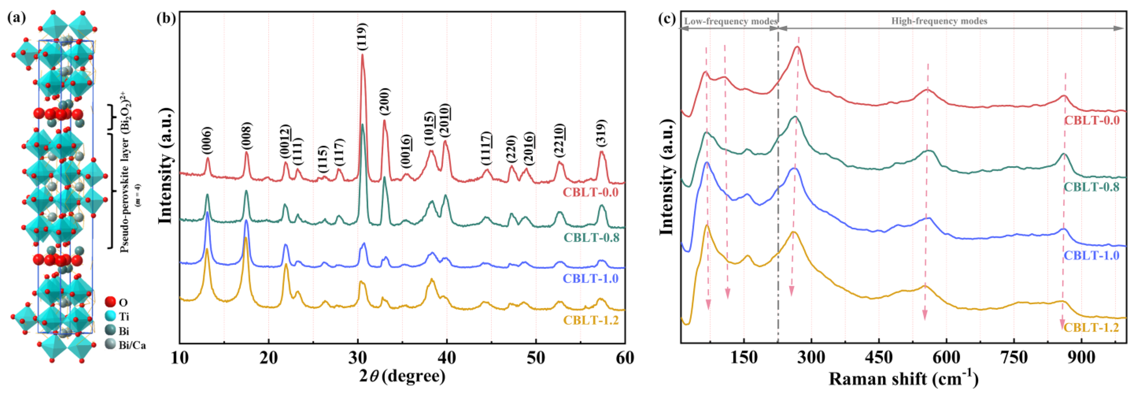 Nanomaterials 14 01998 g001
