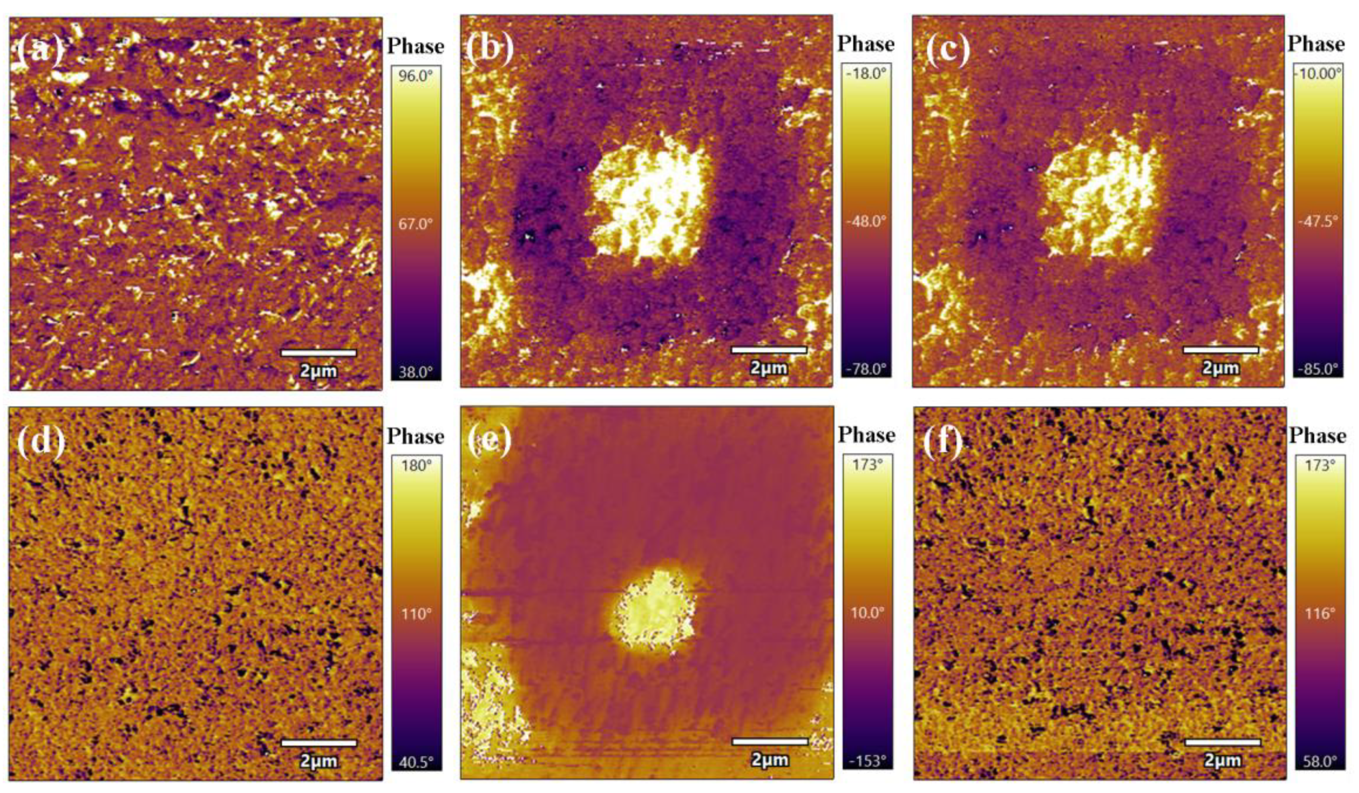 Nanomaterials 14 01998 g005