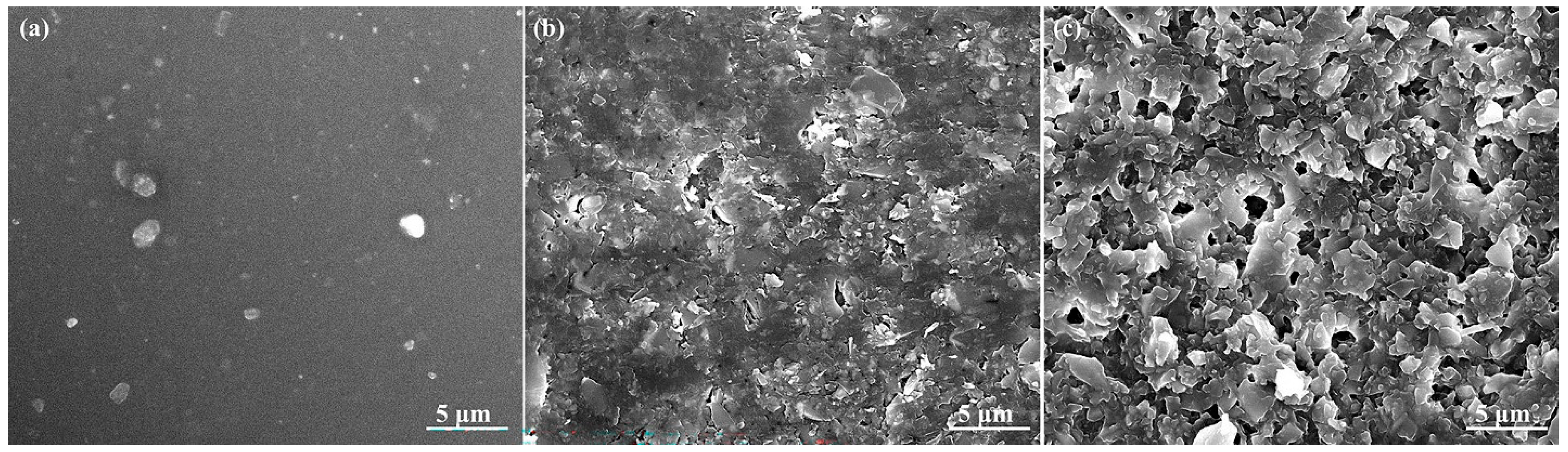 Nanomaterials 14 01999 g003 Nanomaterials 14 01999 g003