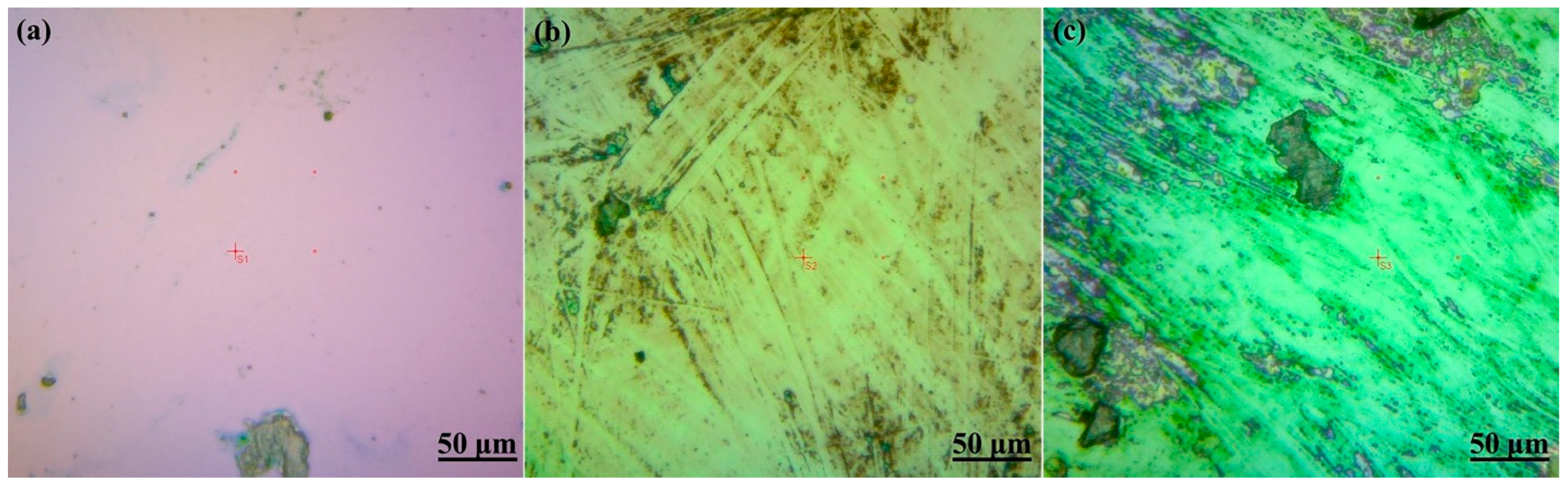 Nanomaterials 14 01999 g013 Nanomaterials 14 01999 g013