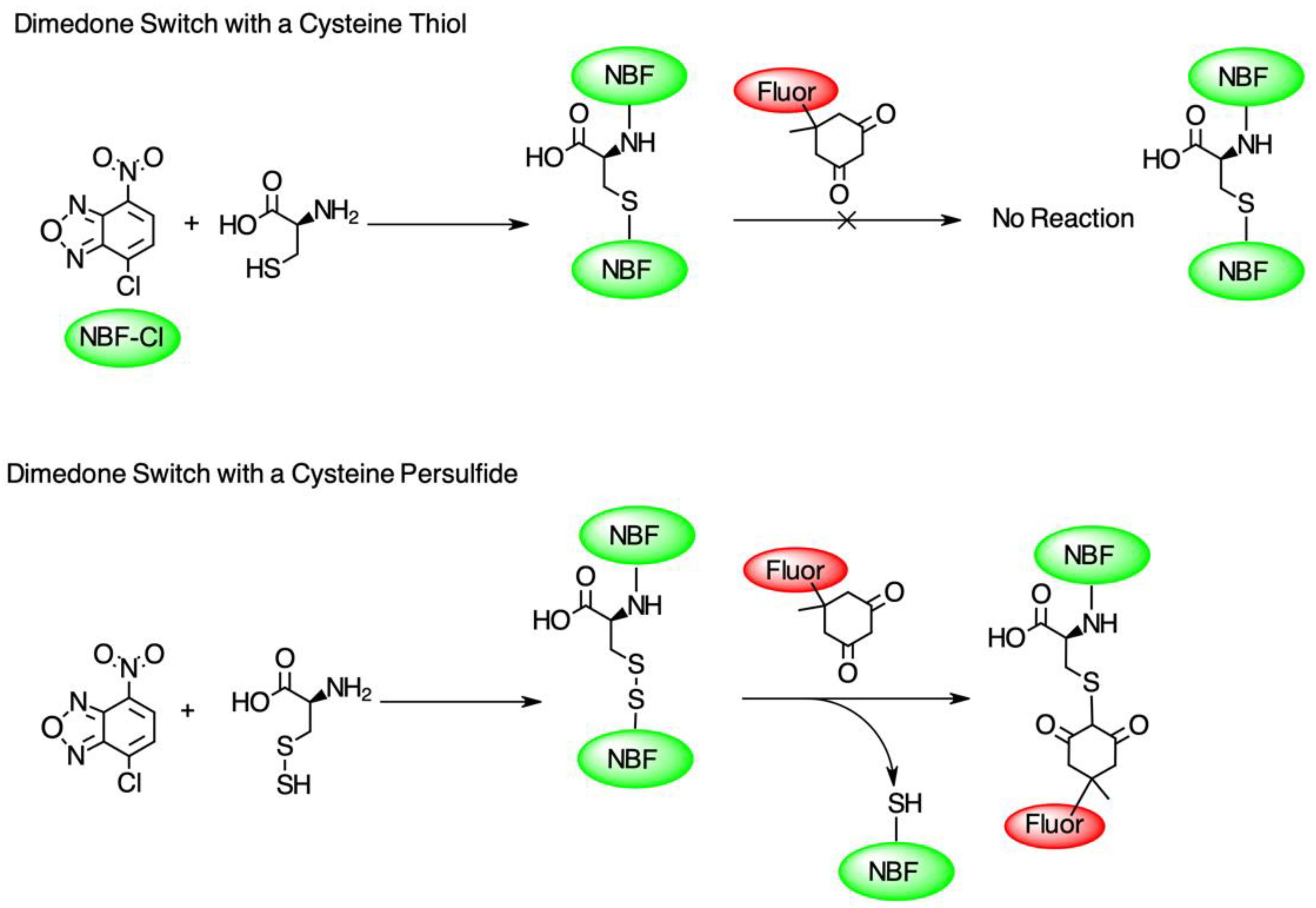 Nanomaterials 14 02007 g001