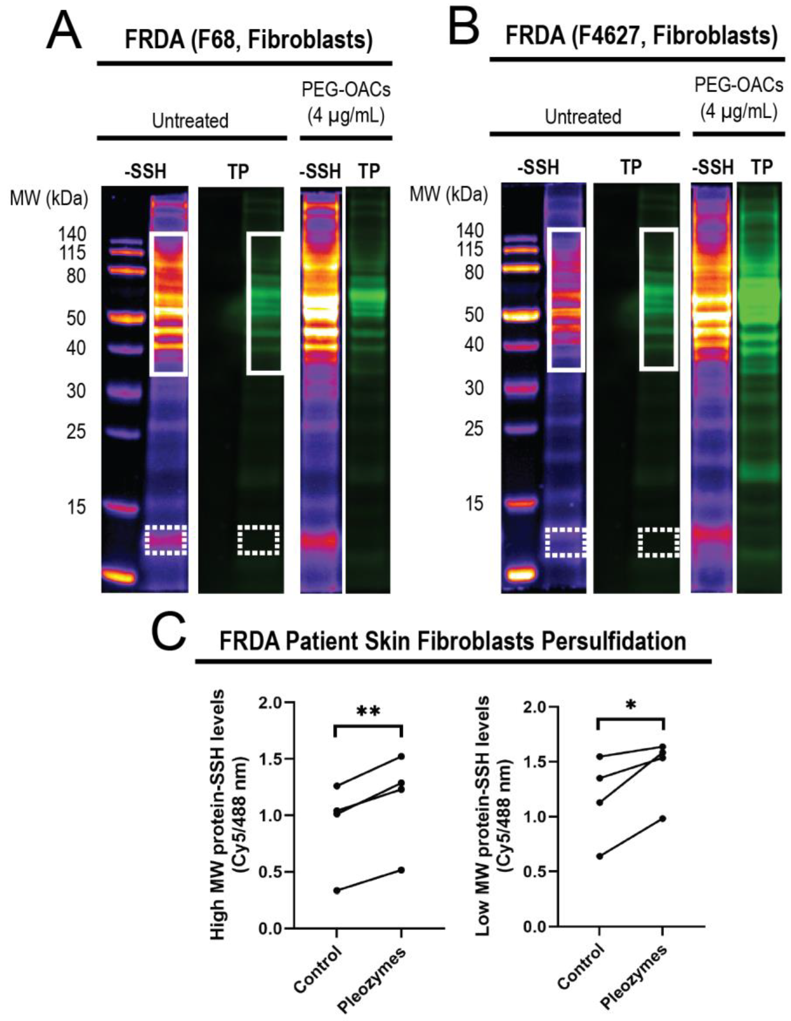 Nanomaterials 14 02007 g005