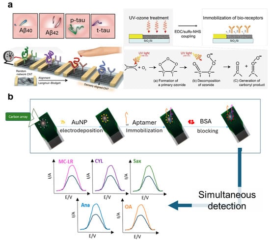 Nanomaterials 14 02014 g007