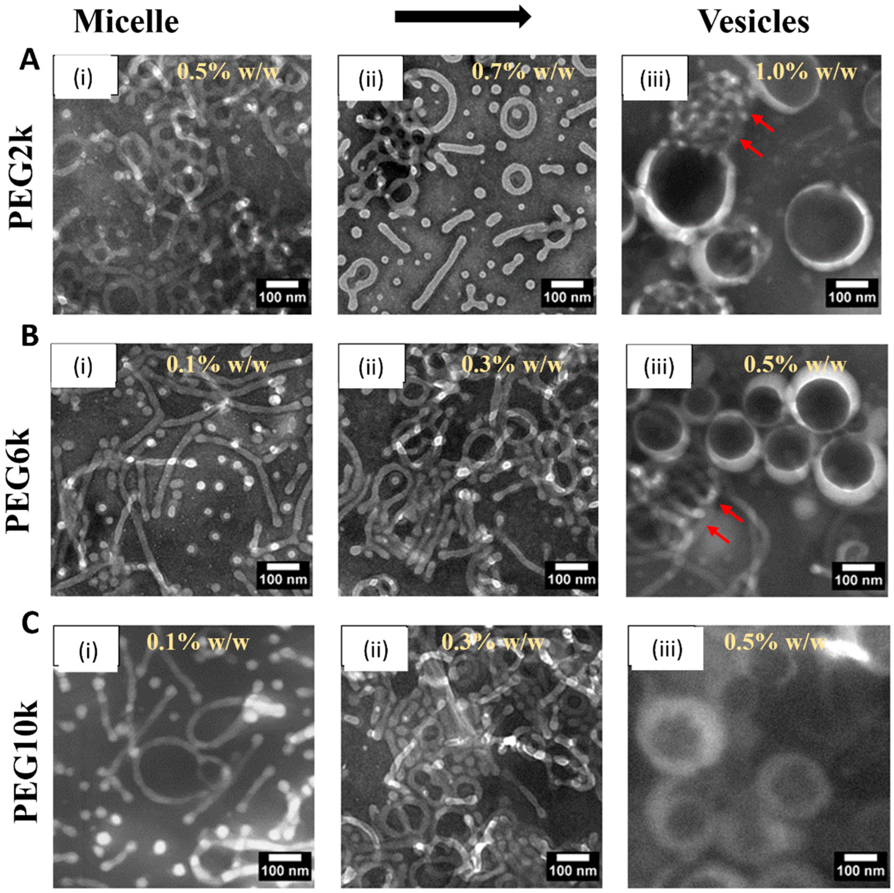 Nanomaterials 14 02015 g001