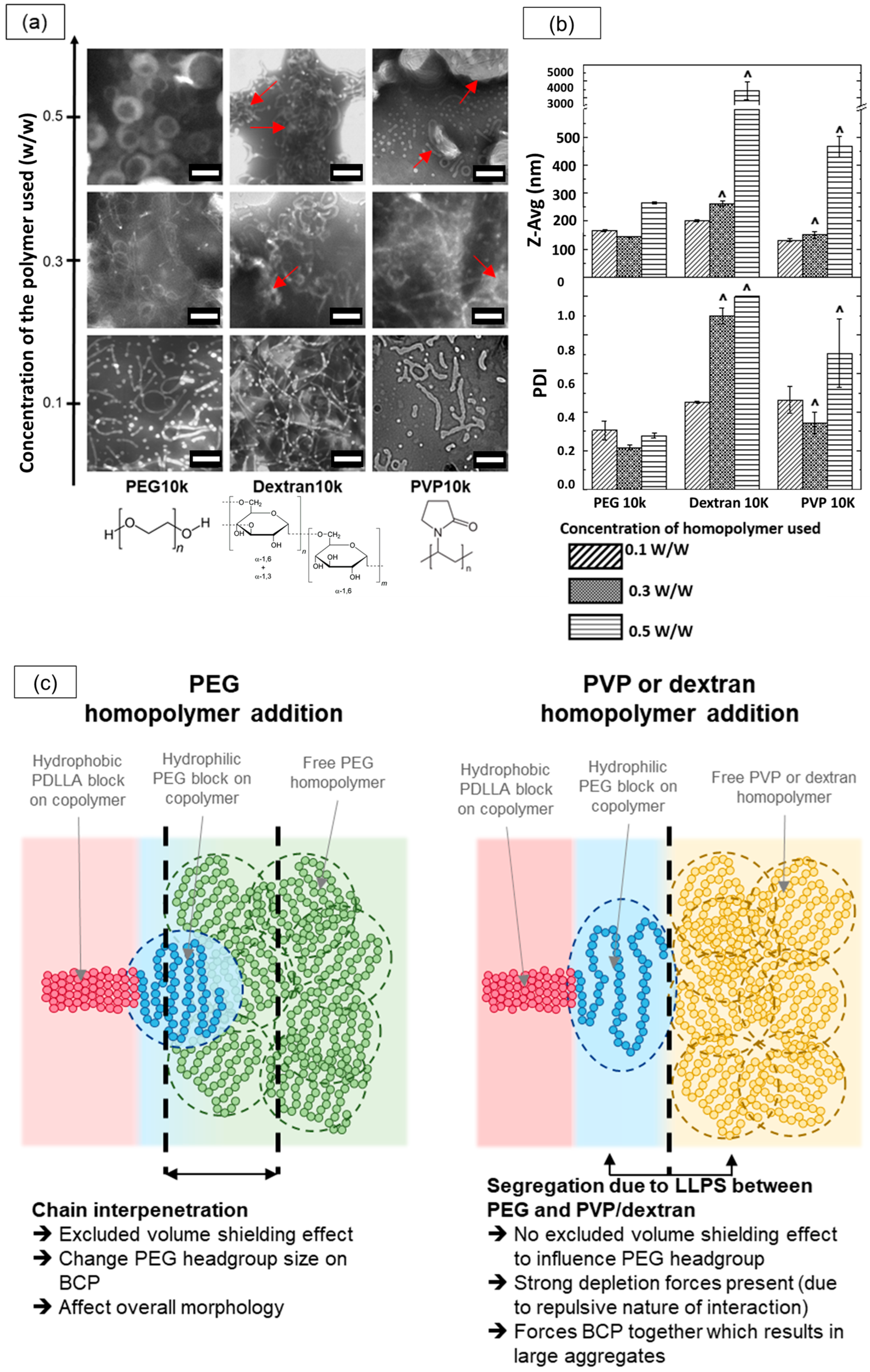 Nanomaterials 14 02015 g008