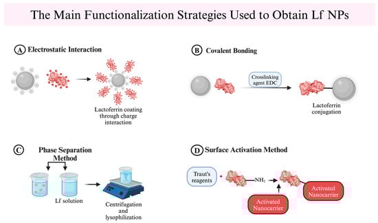 Nanomaterials 14 02018 g002