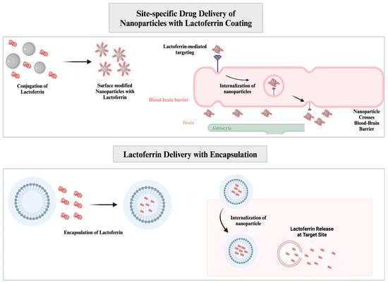 Nanomaterials 14 02018 g004