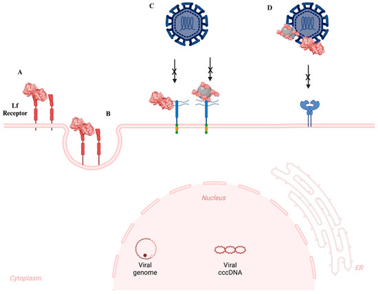 Nanomaterials 14 02018 g005