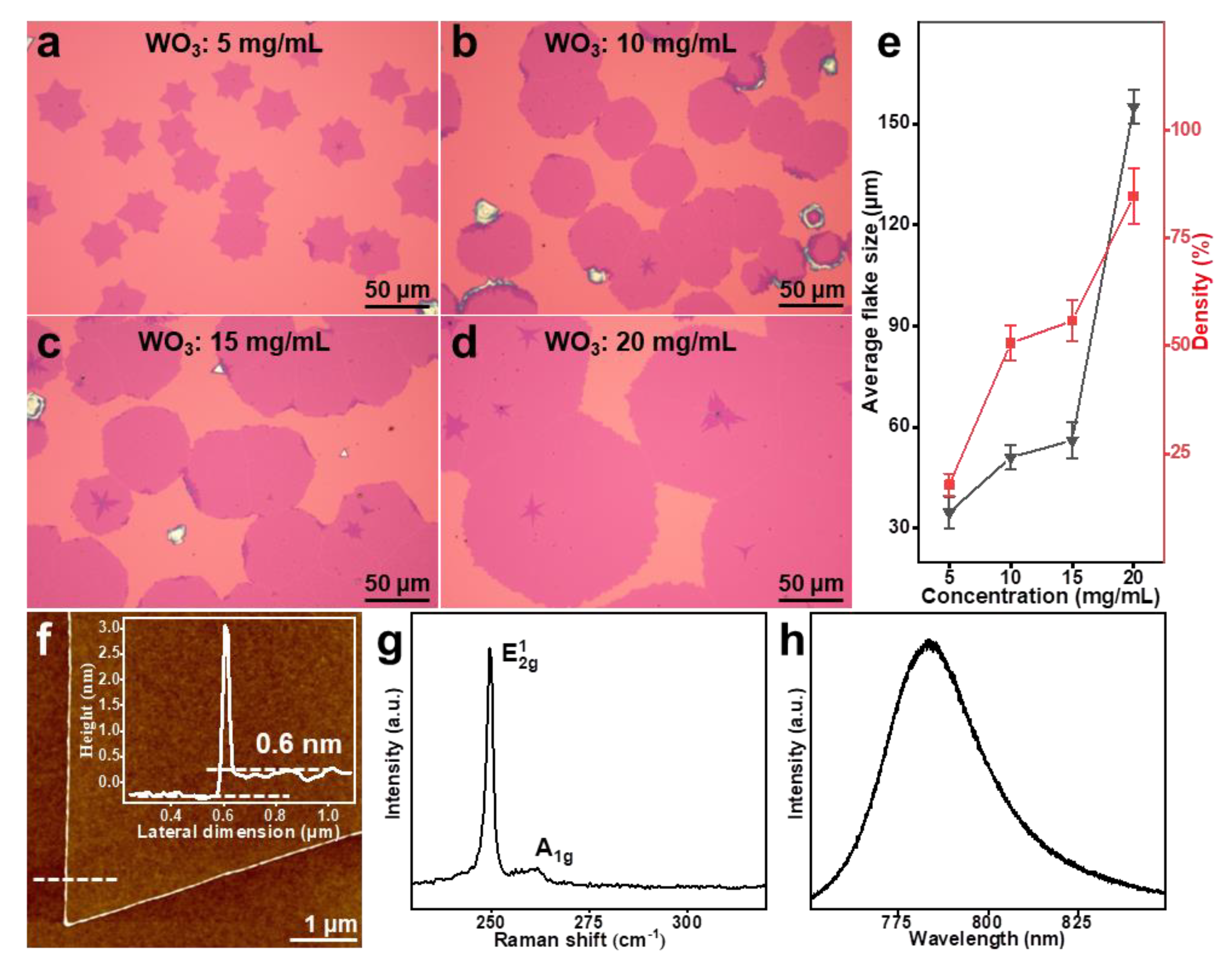 Nanomaterials 14 02021 g001