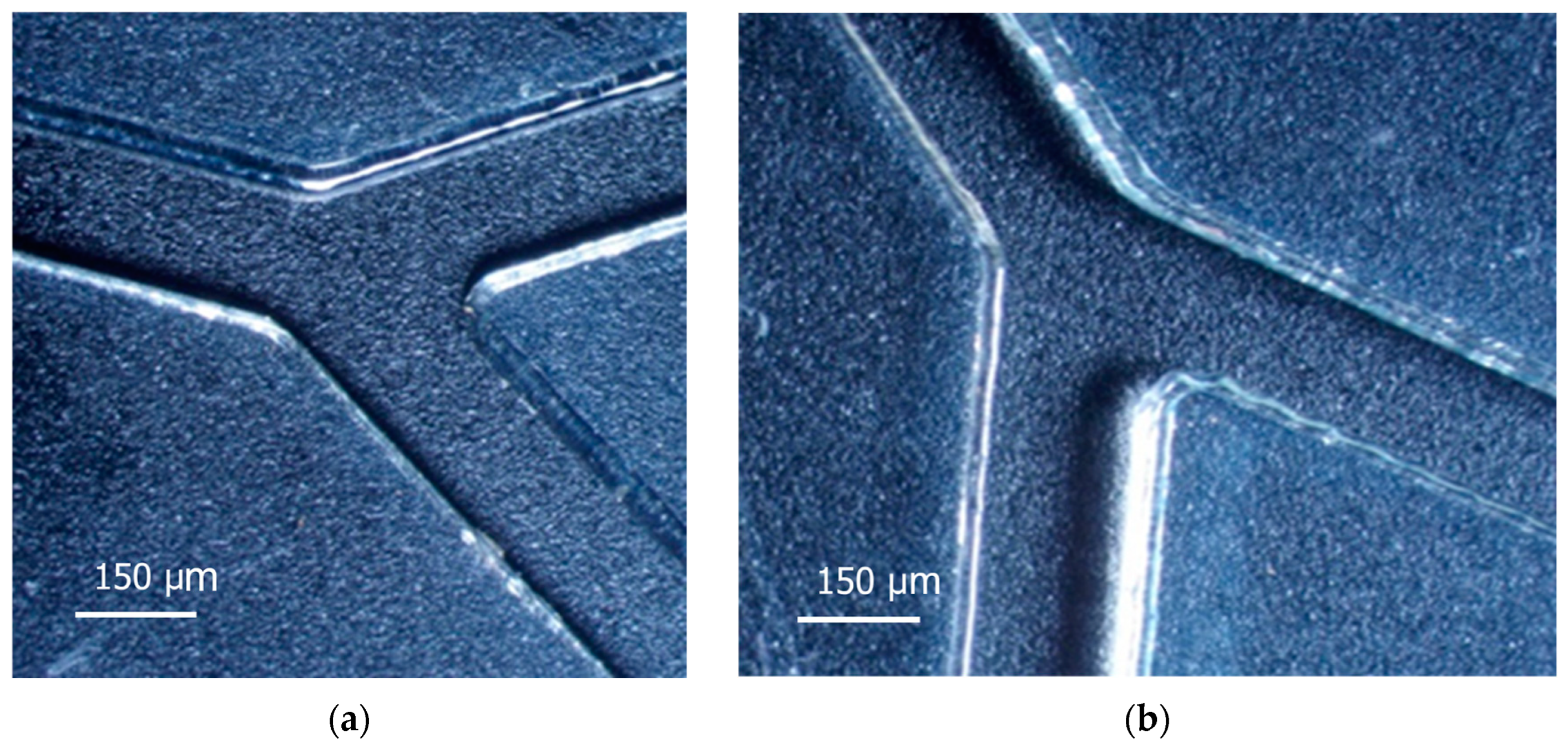 Nanomaterials 14 02030 g002 Nanomaterials 14 02030 g002