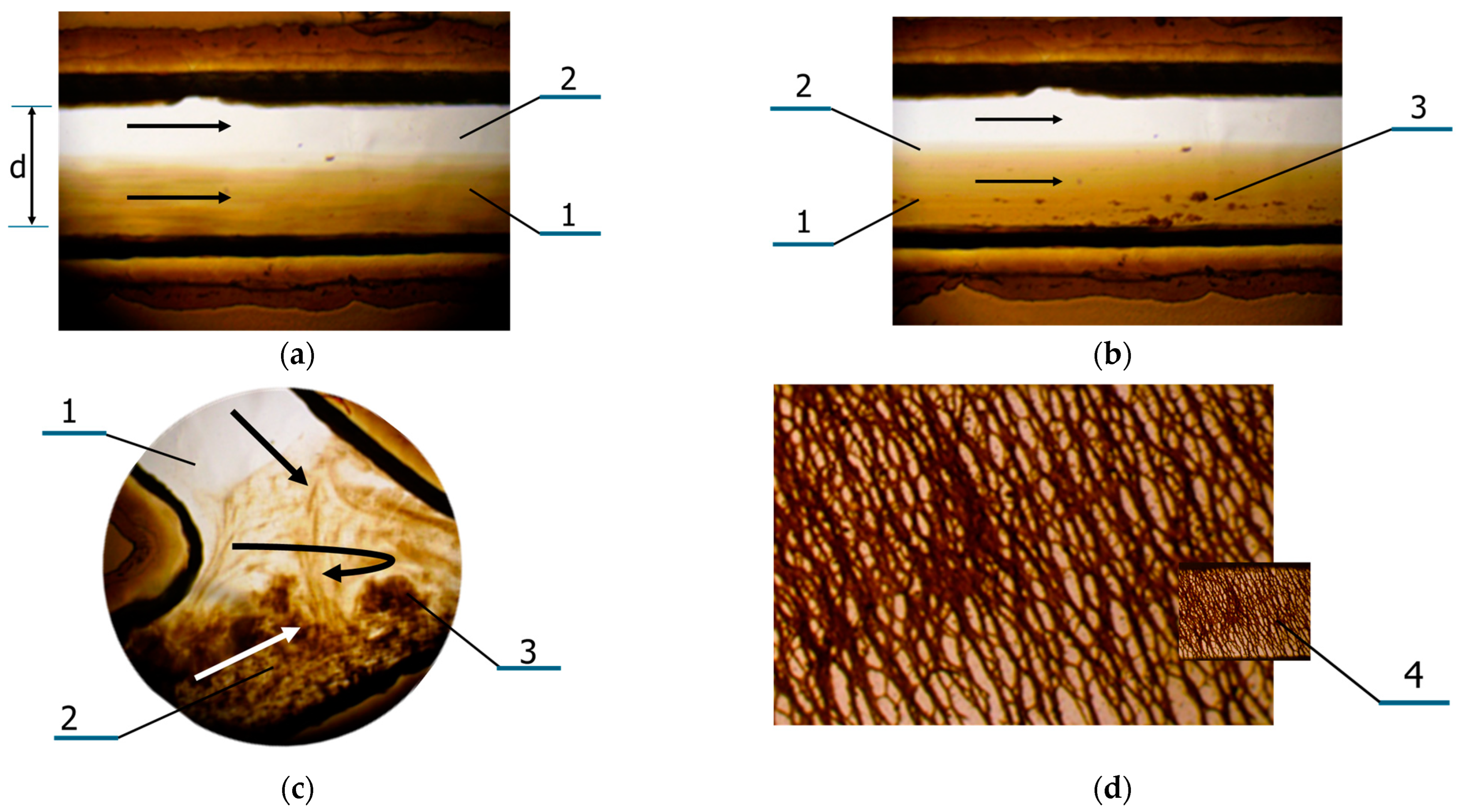 Nanomaterials 14 02030 g005 Nanomaterials 14 02030 g005