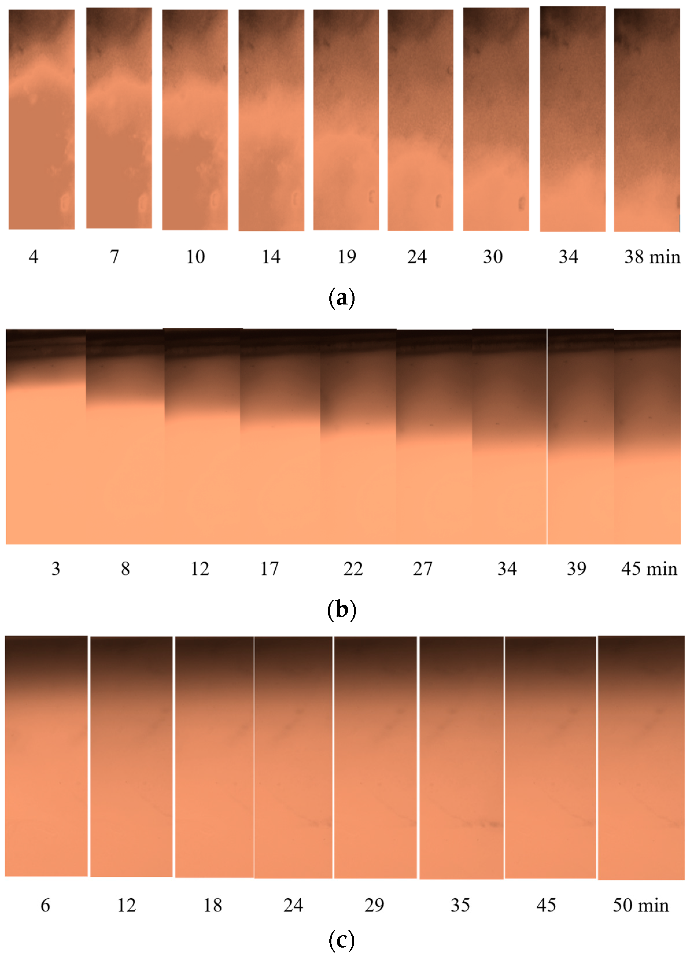 Nanomaterials 14 02030 g008 Nanomaterials 14 02030 g008