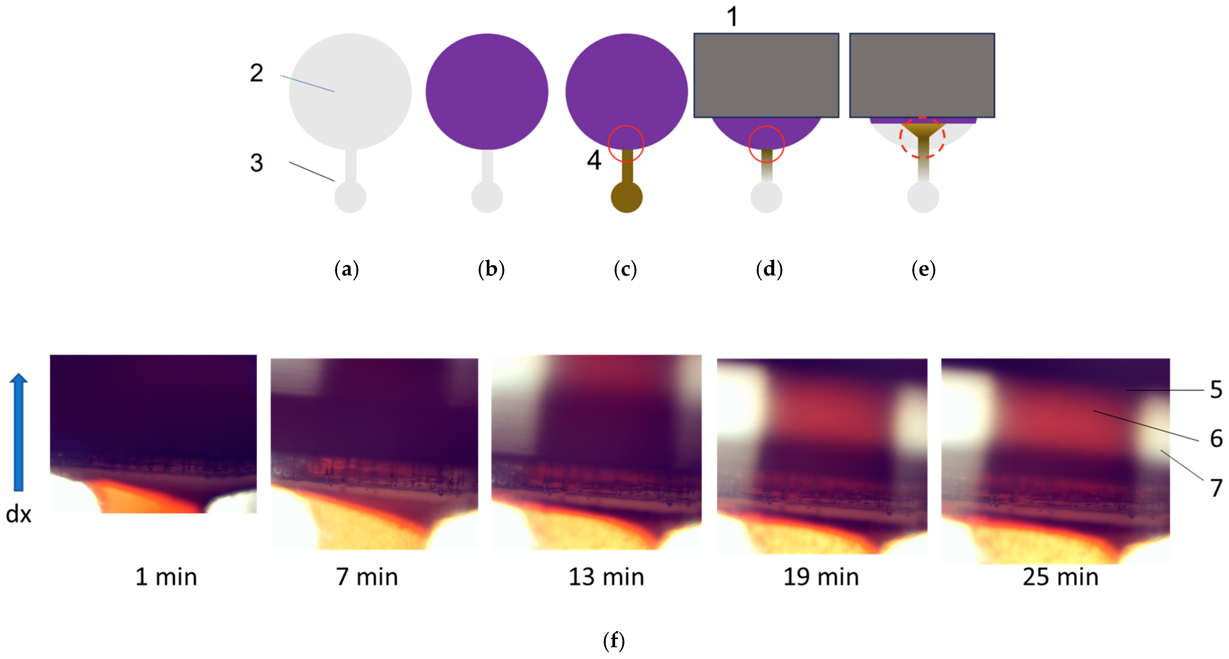 Nanomaterials 14 02030 g010 Nanomaterials 14 02030 g010