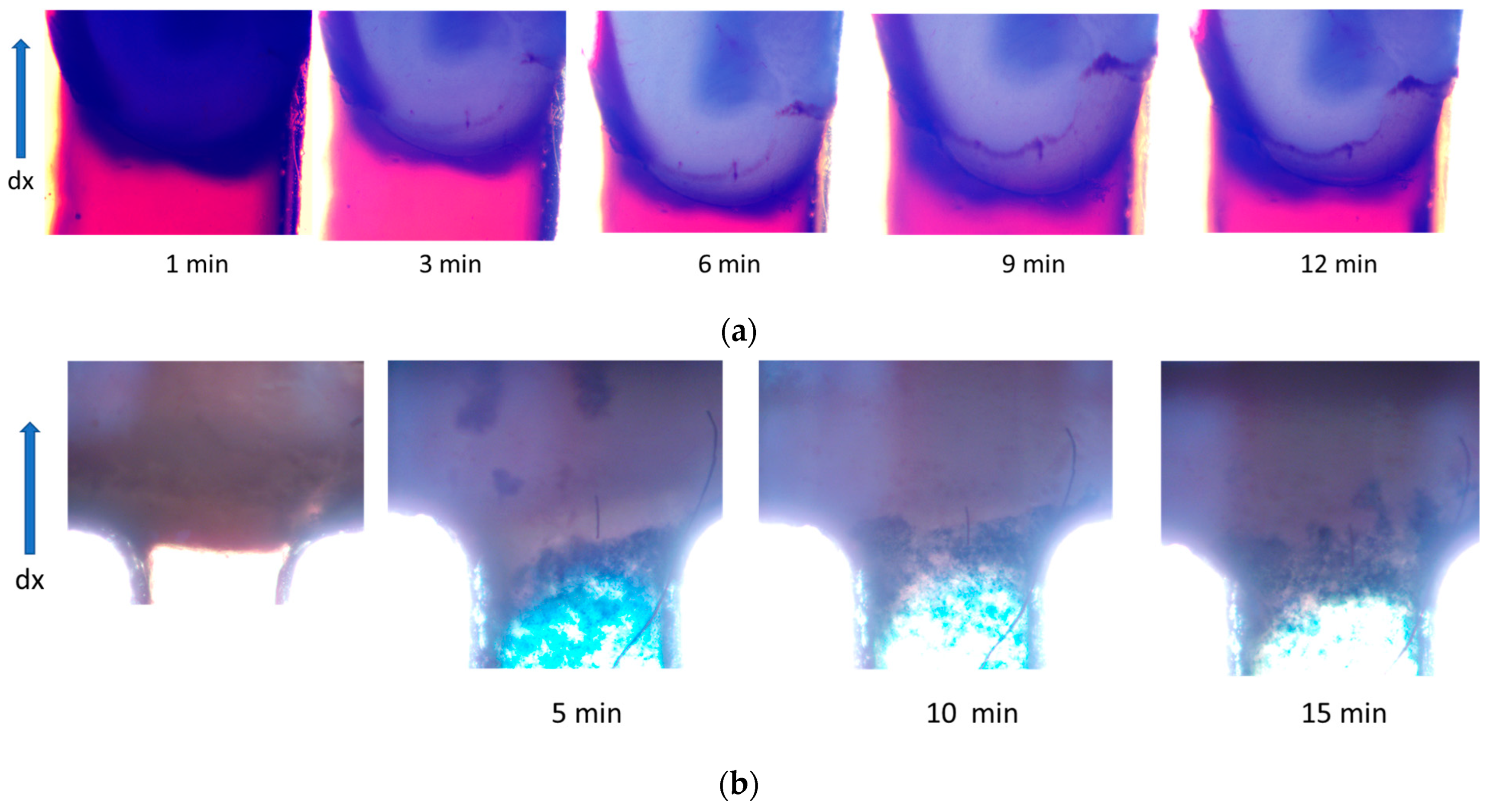 Nanomaterials 14 02030 g011 Nanomaterials 14 02030 g011