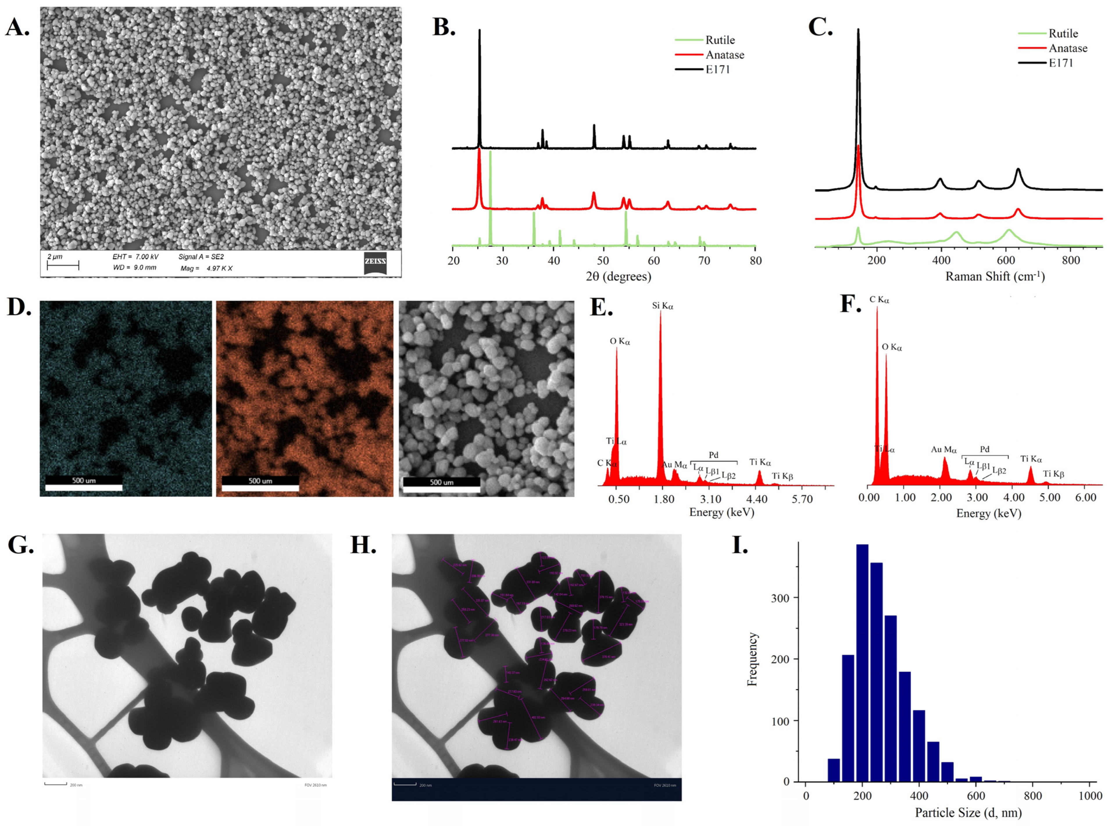 Nanomaterials 14 02037 g001