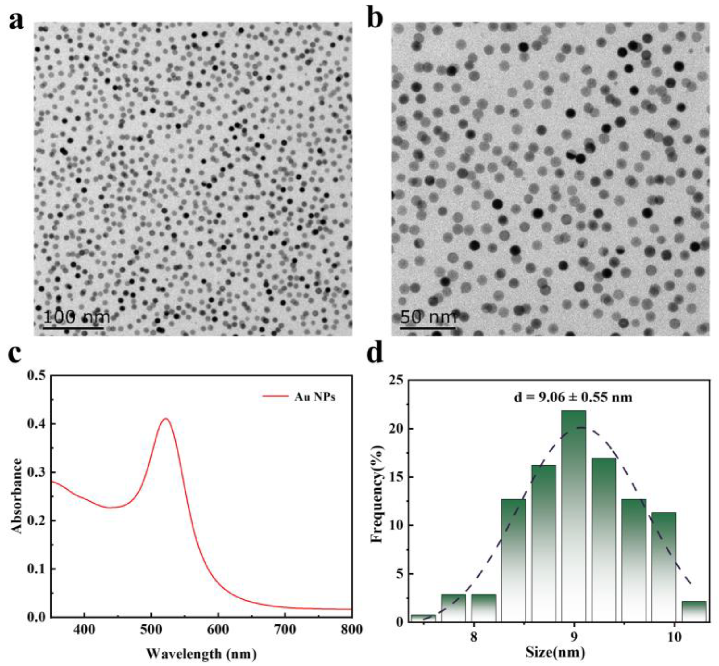 Nanomaterials 14 02040 g001
