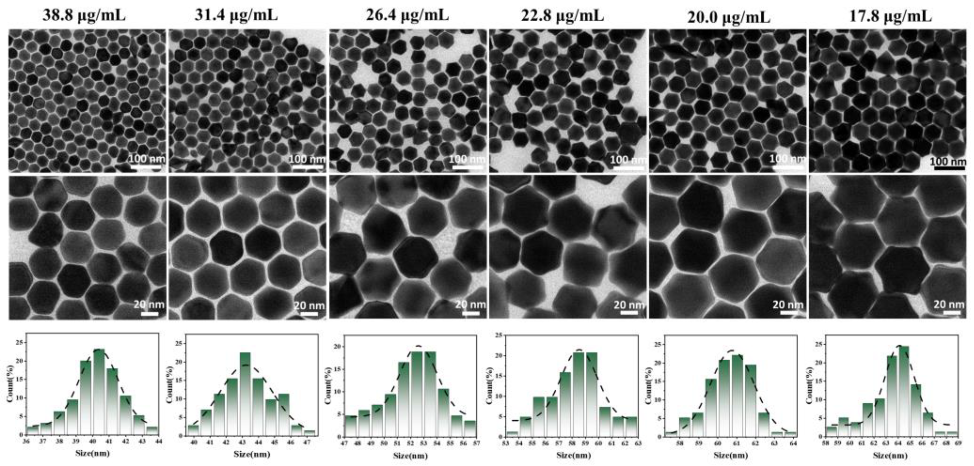 Nanomaterials 14 02040 g002