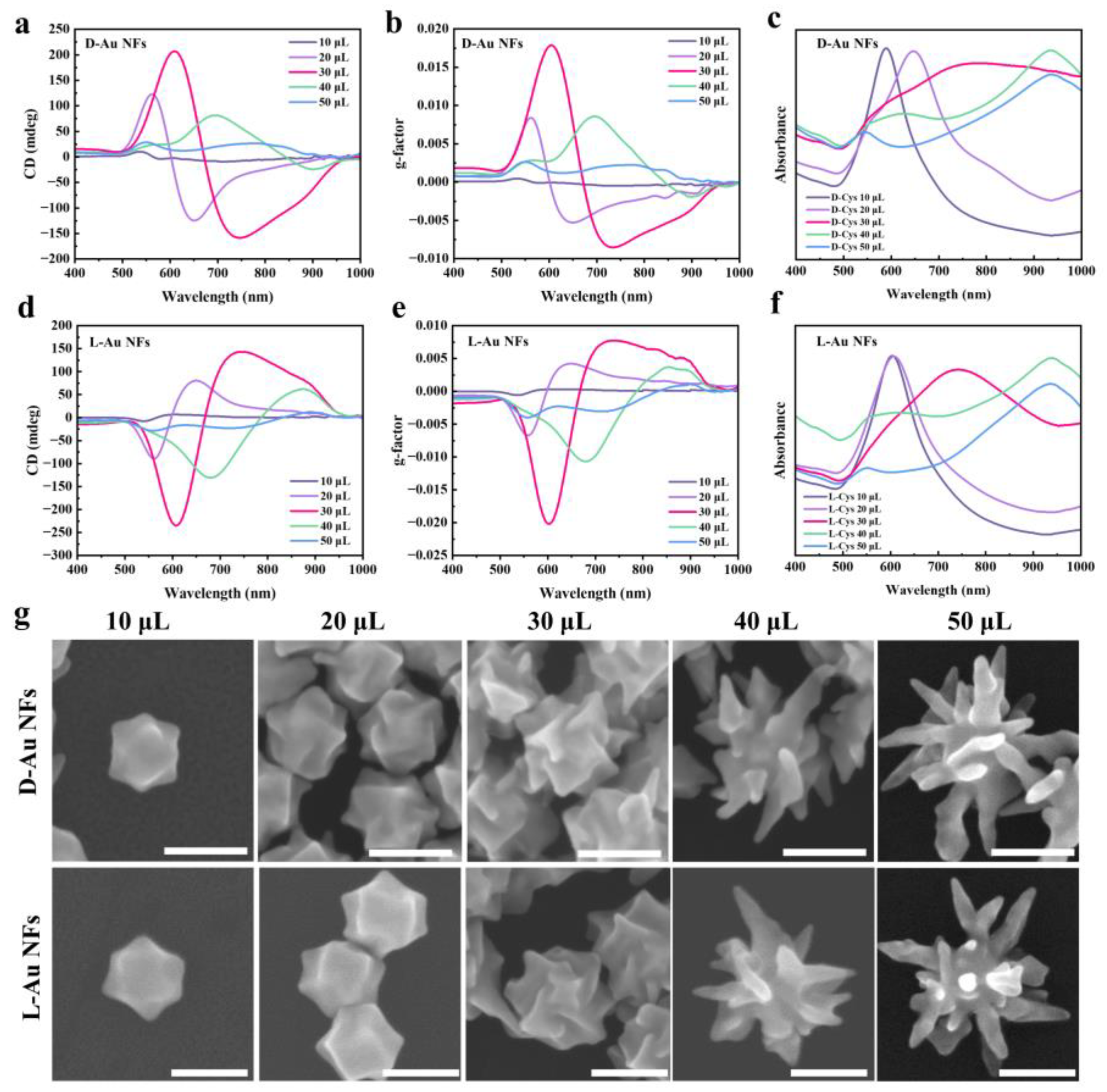 Nanomaterials 14 02040 g005