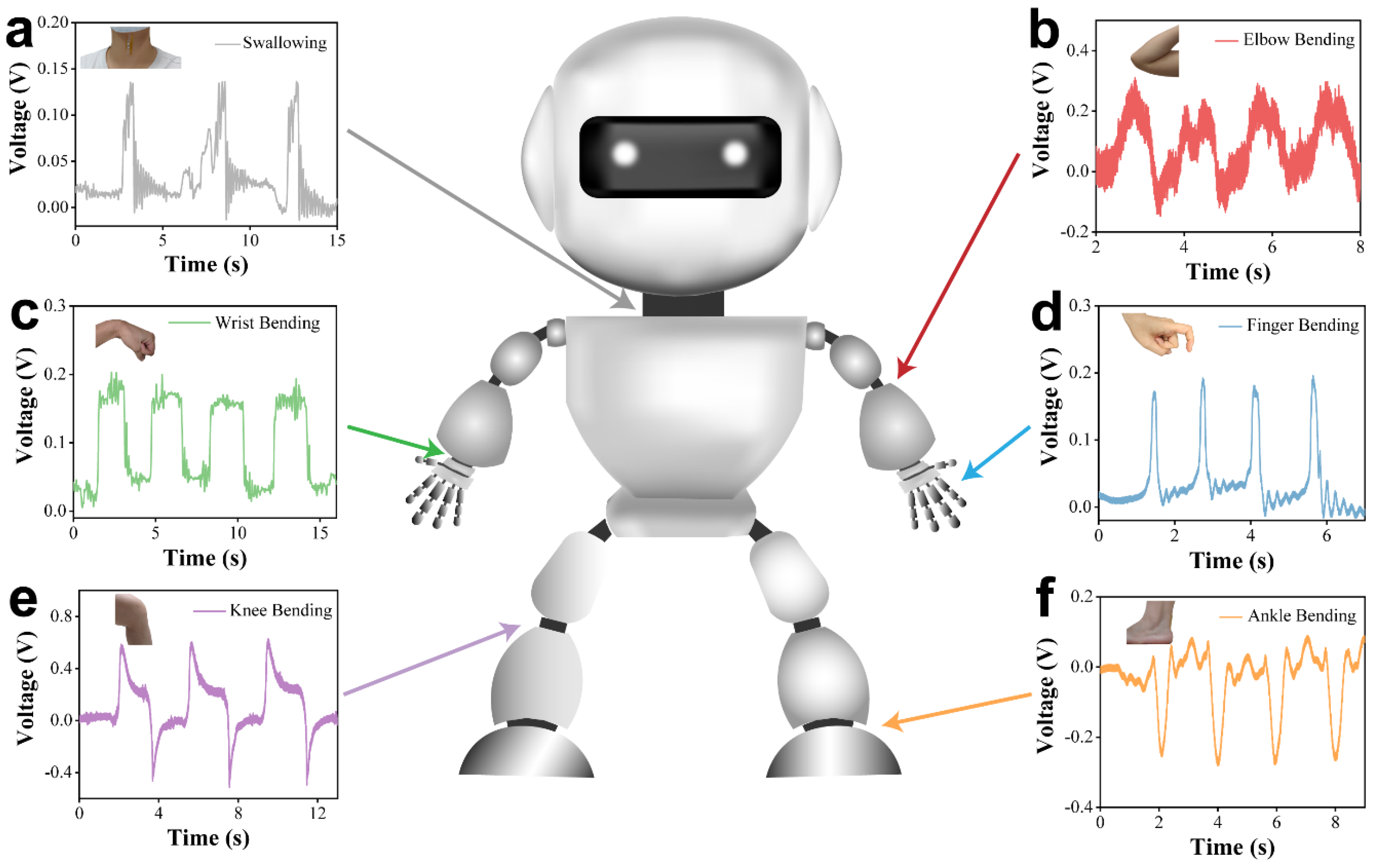 Nanomaterials 14 02044 g005