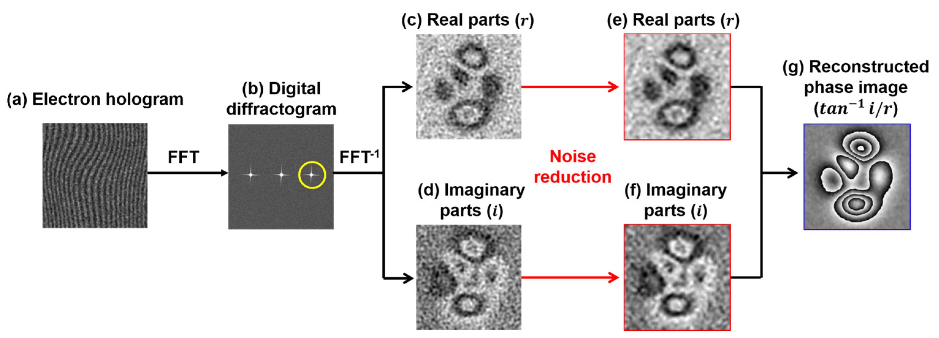 Nanomaterials 14 02046 g002