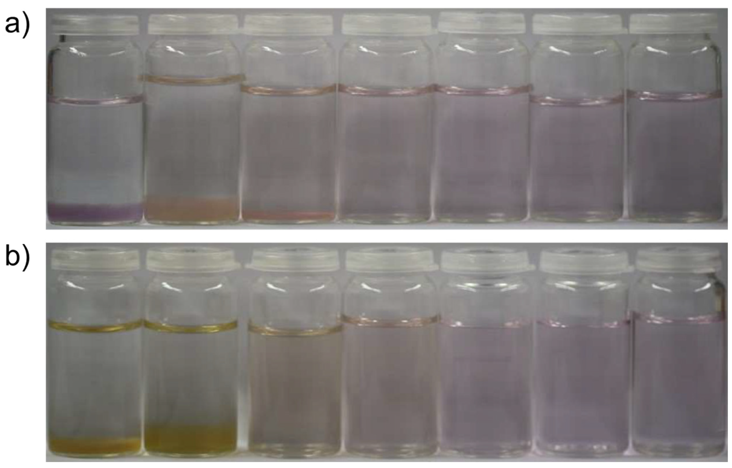 Nanomaterials 14 02054 g001