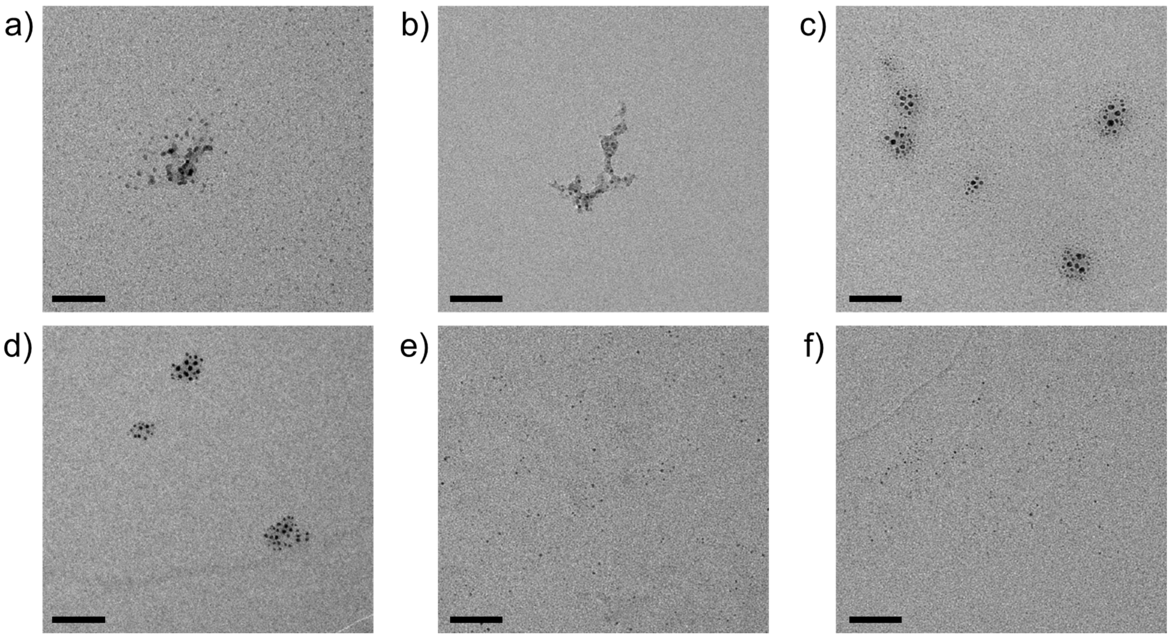 Nanomaterials 14 02054 g005