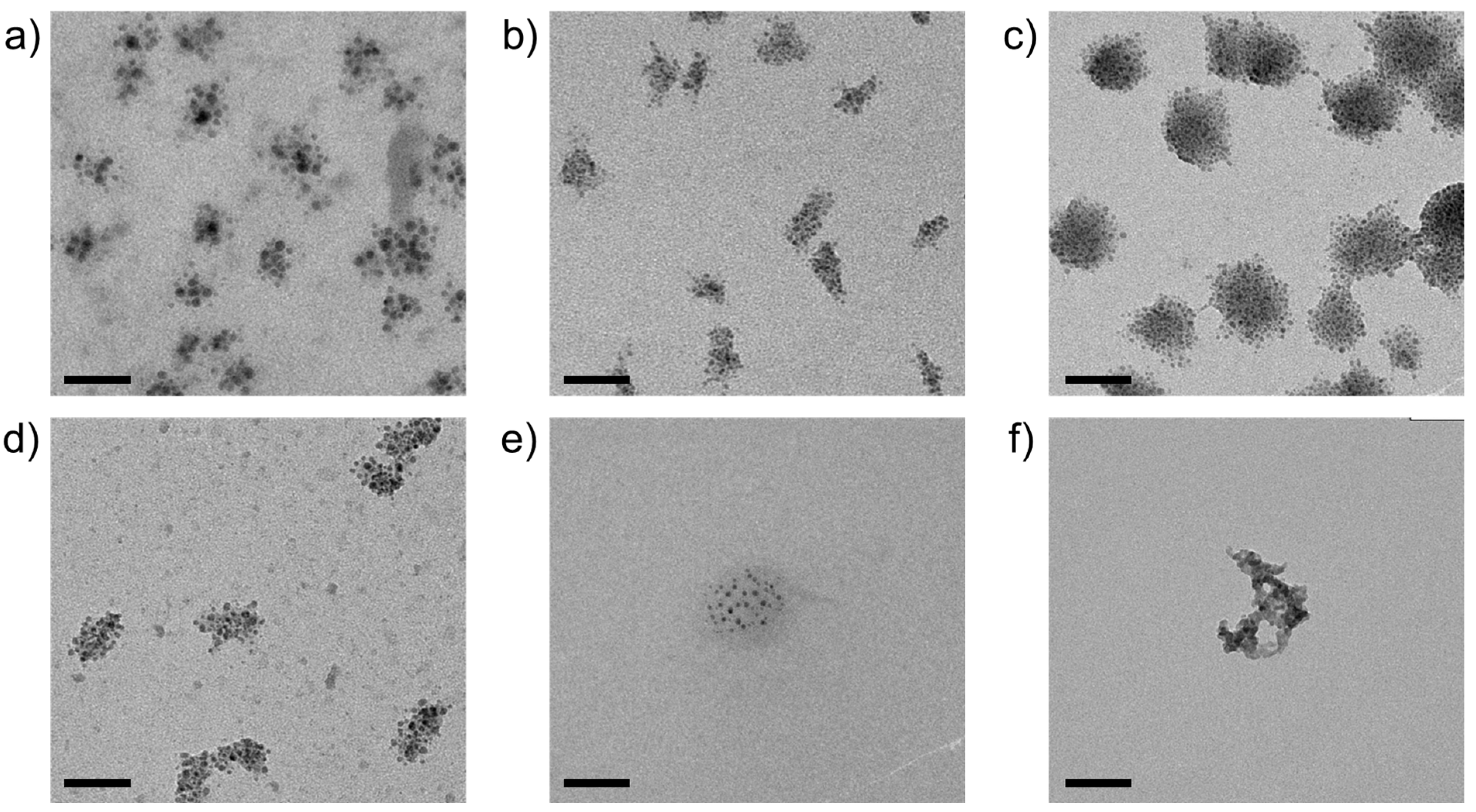 Nanomaterials 14 02054 g006