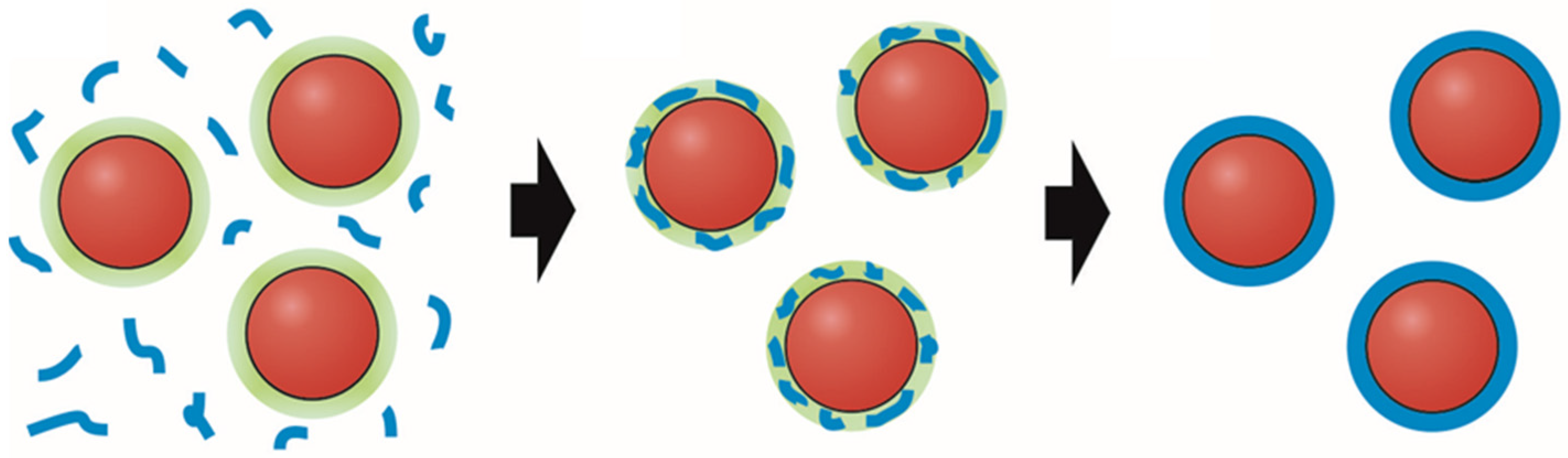 Nanomaterials 14 02054 sch001
