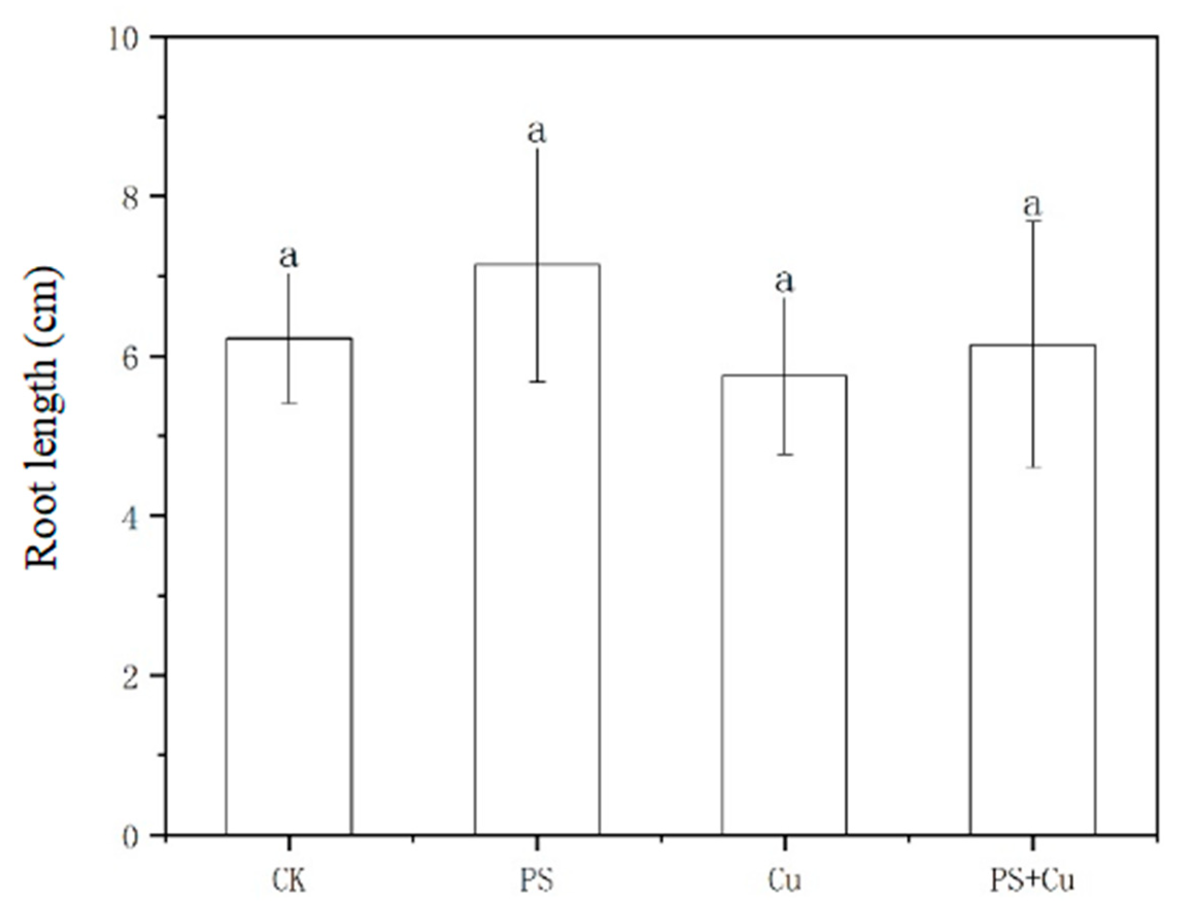 Nanomaterials 15 00017 g001