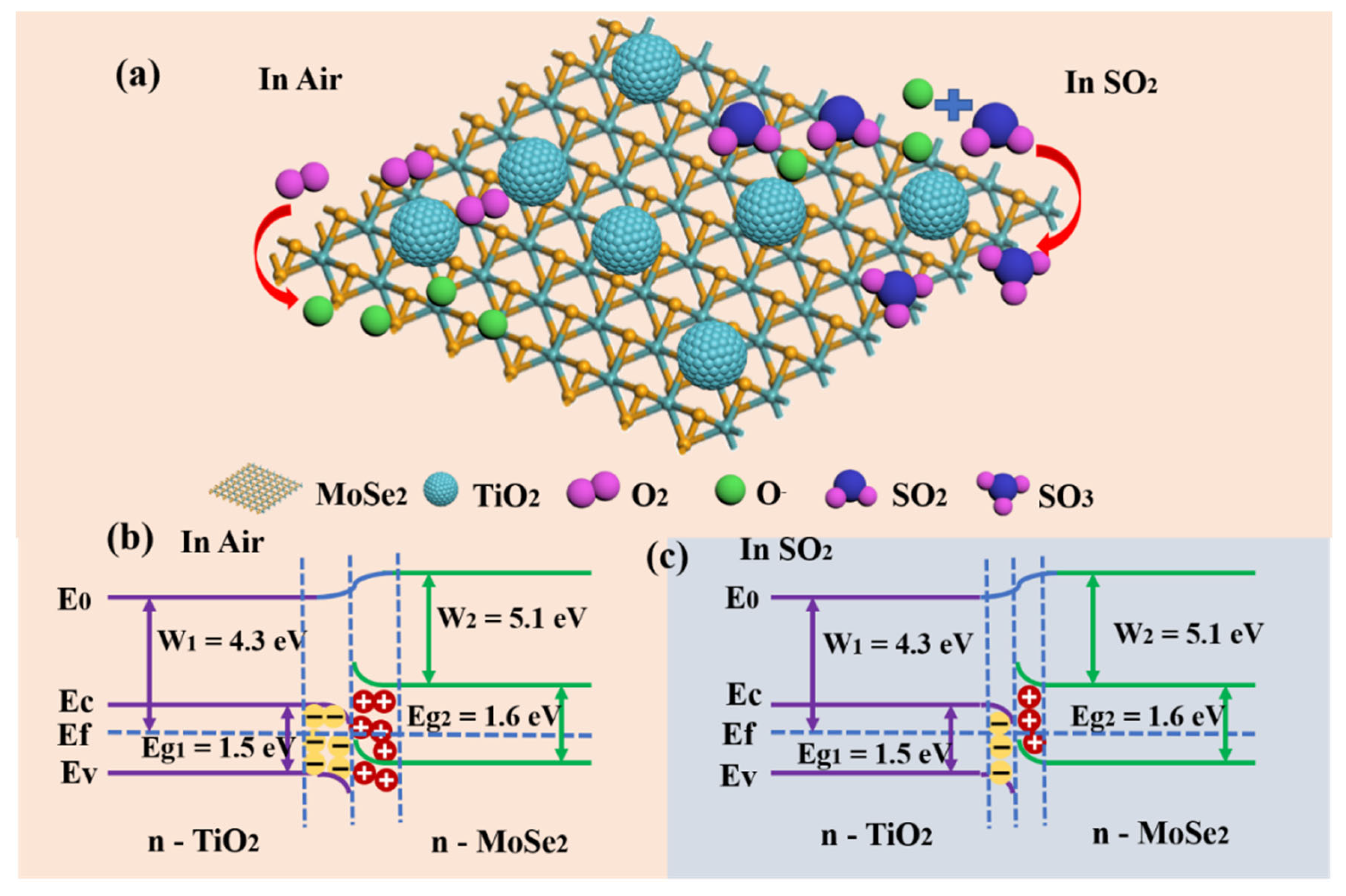 Nanomaterials 15 00025 g006