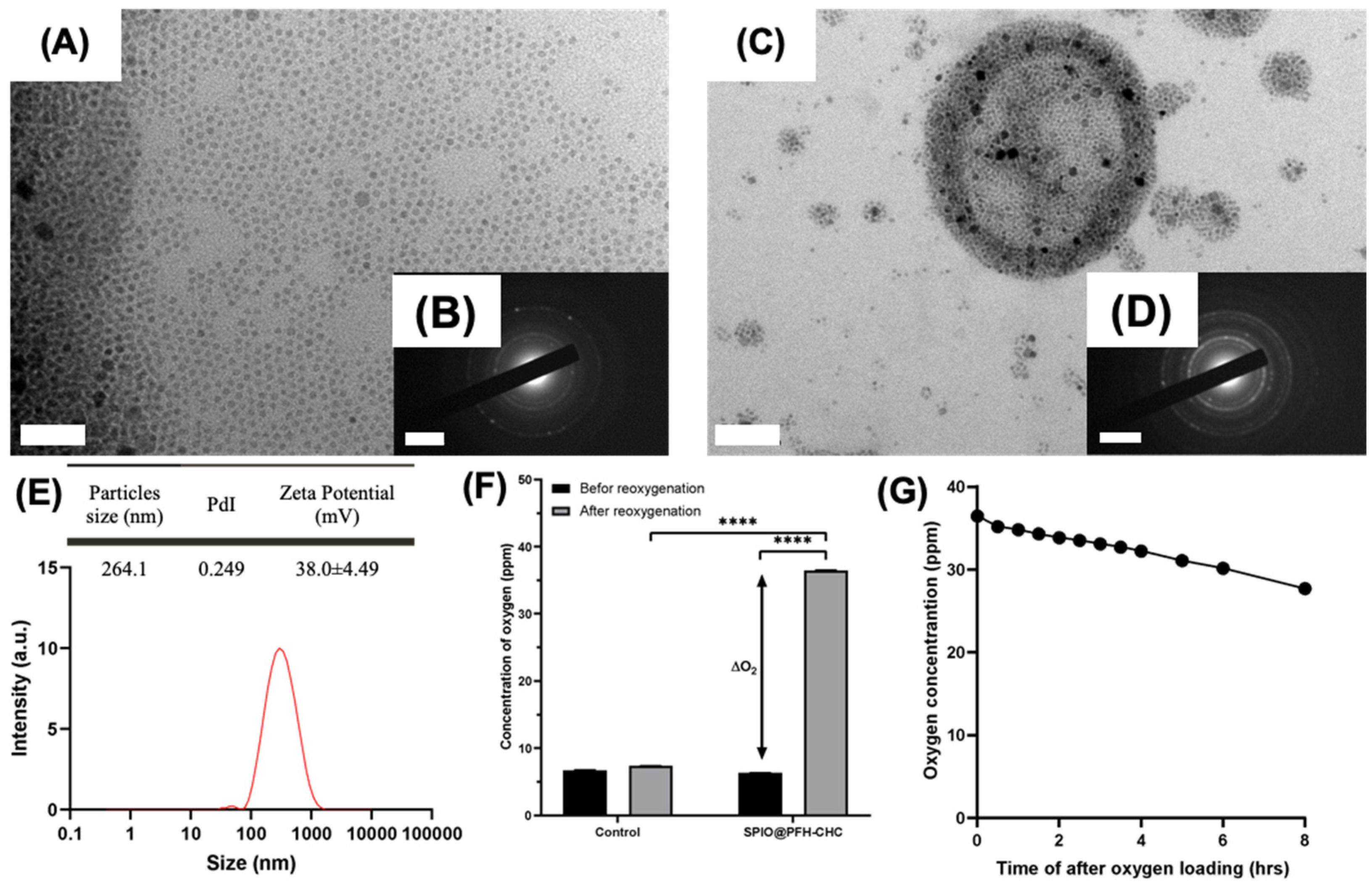 Nanomaterials 15 00037 g001