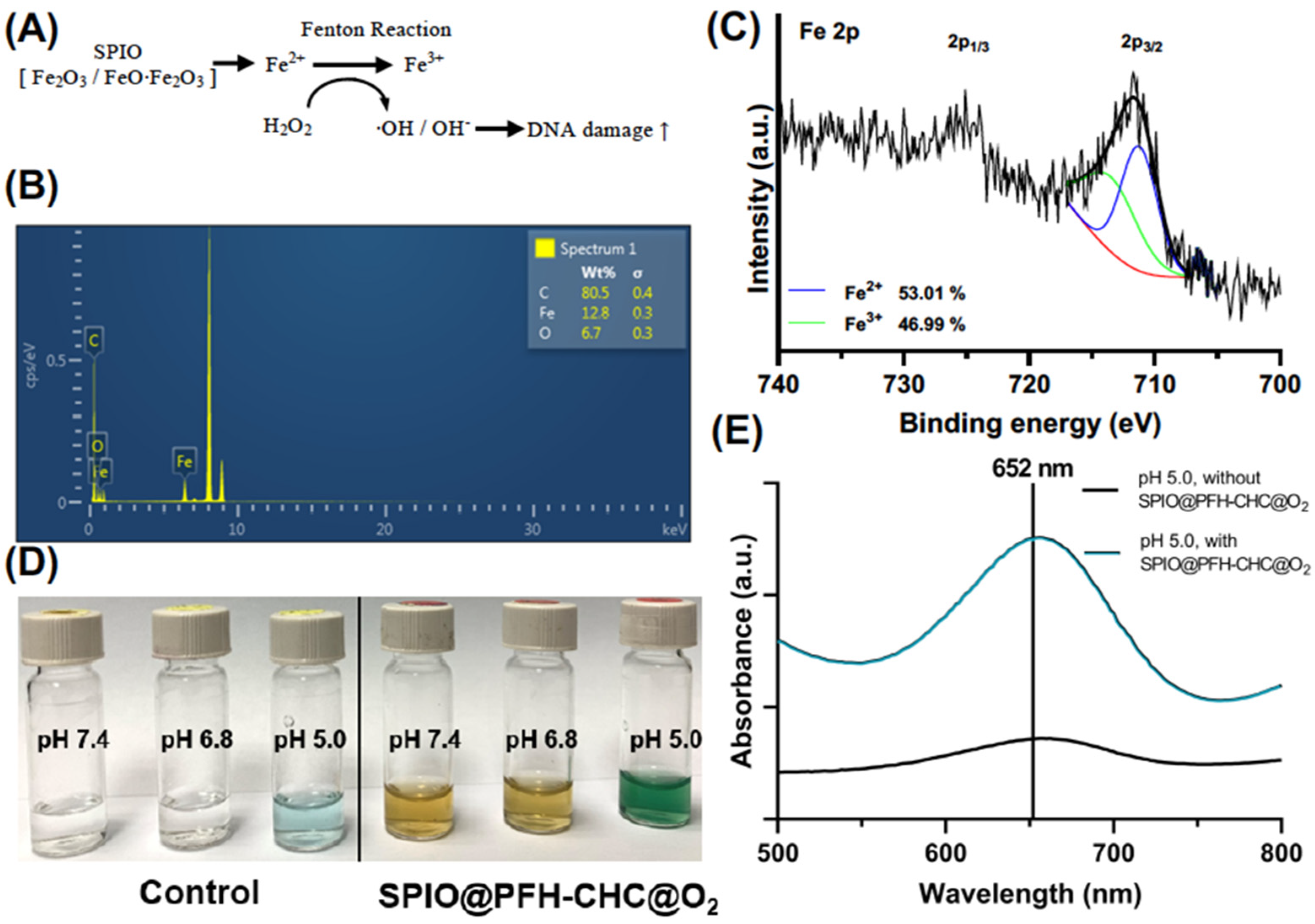 Nanomaterials 15 00037 g002