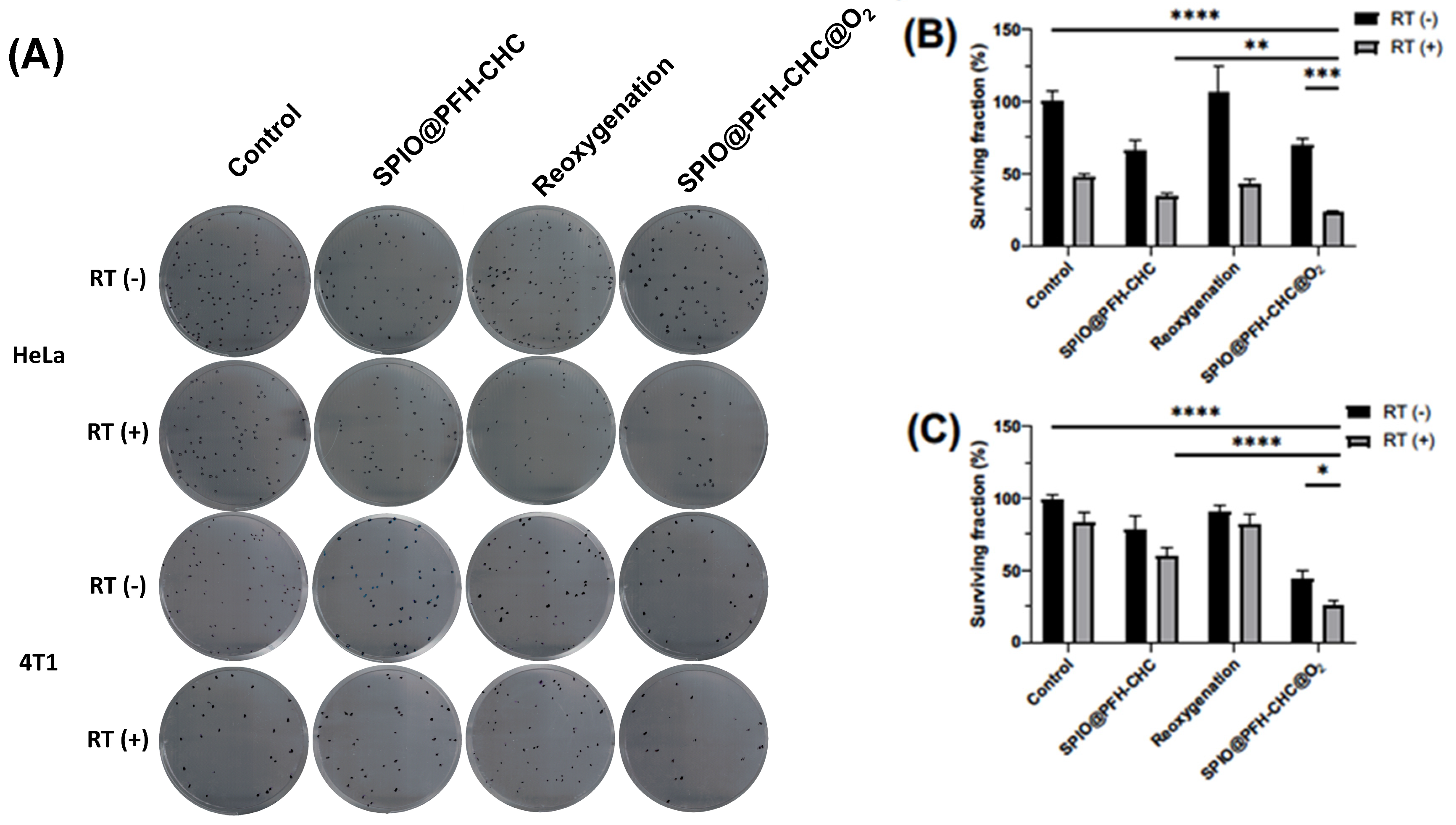 Nanomaterials 15 00037 g007