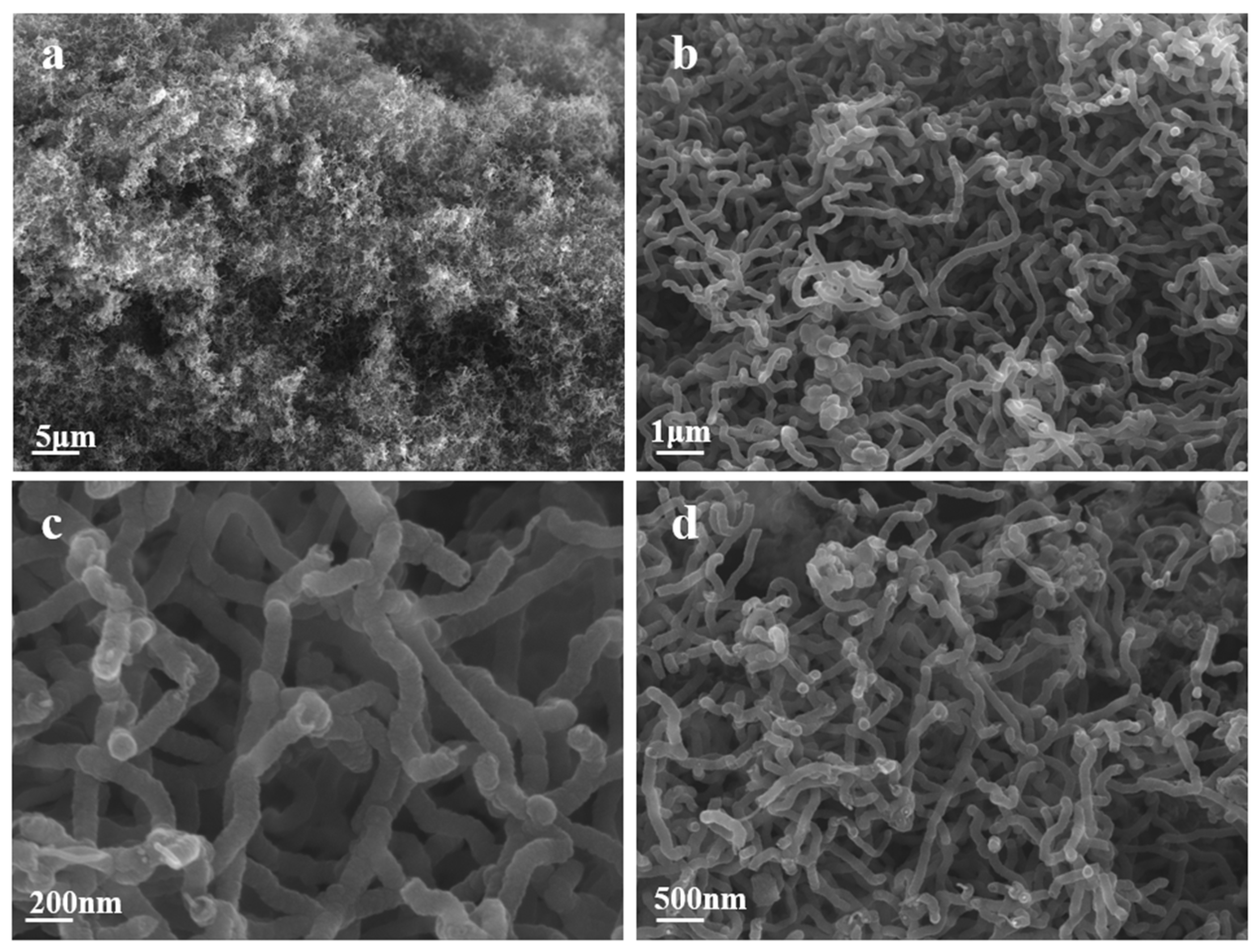 Nanomaterials 15 00053 g004