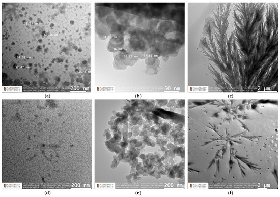 Nanomaterials 15 00058 g006
